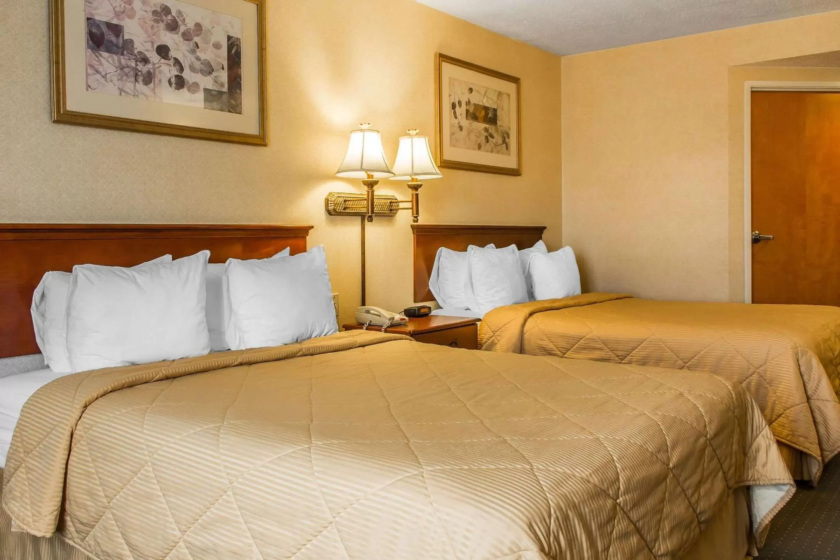 Photo of the whole room, Bed in Quality Inn Hackettstown - Long Valley