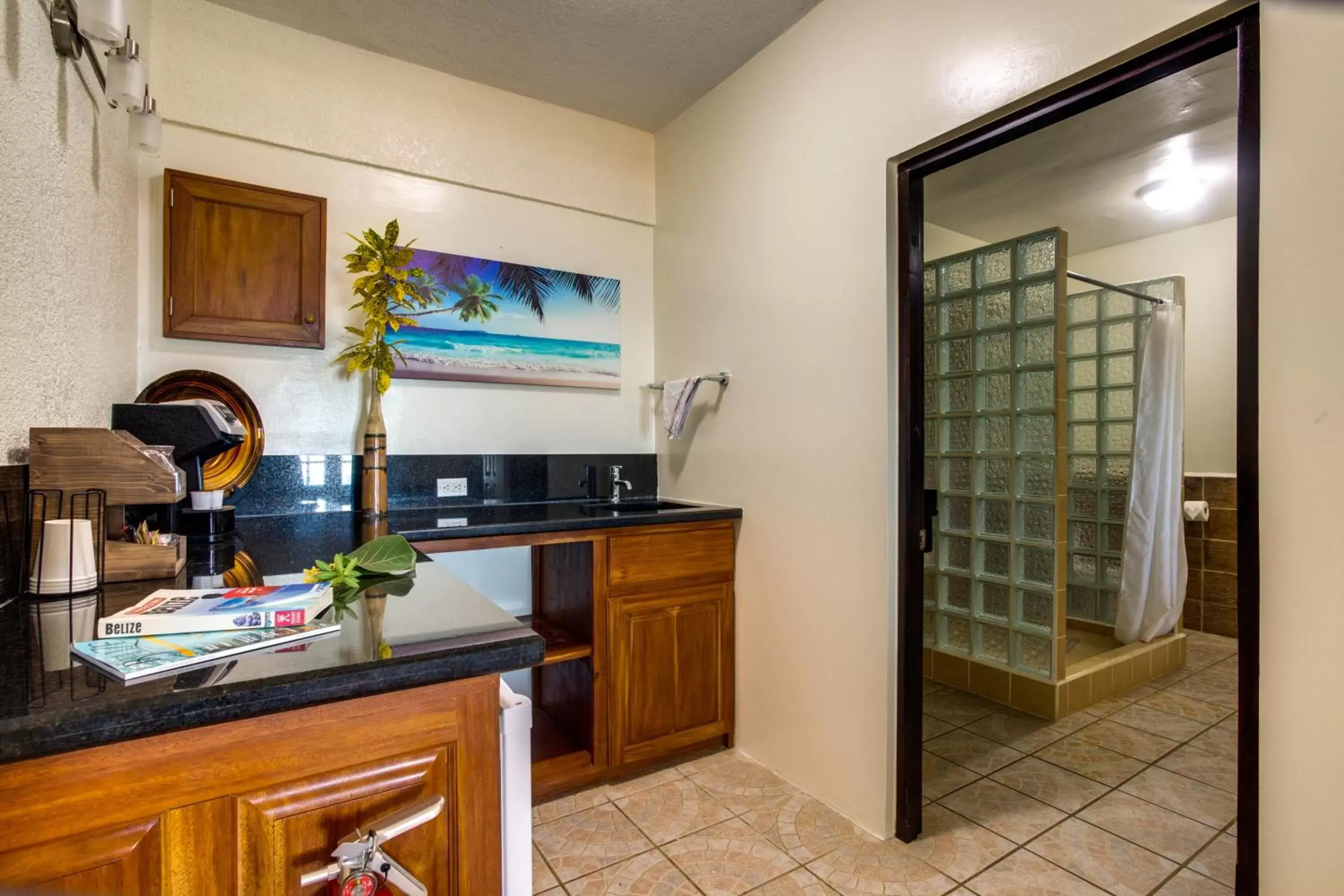 Kitchen or kitchenette, Kitchen/Kitchenette in Mariposa Belize Beach Resort