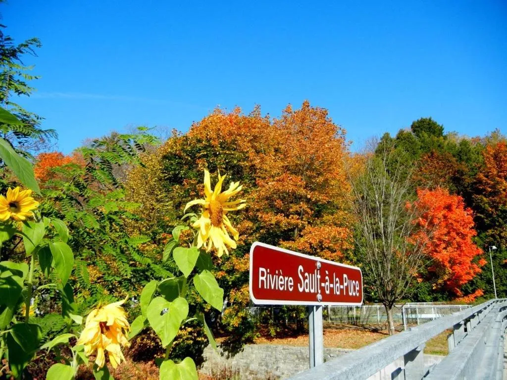 Day in Auberge du Sault-à-la-Puce