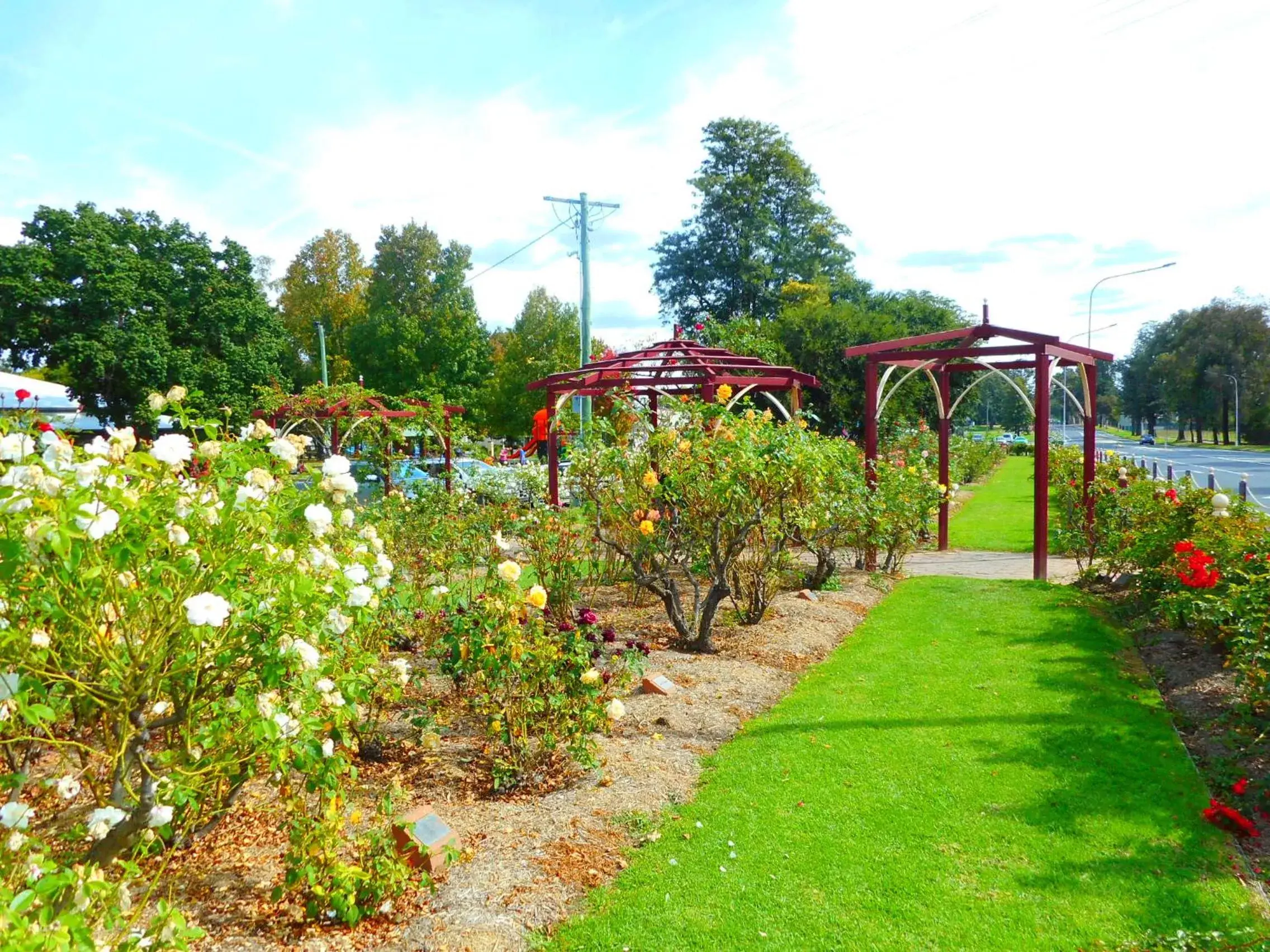 Text overlay, Garden in Townhouse Motel Cowra