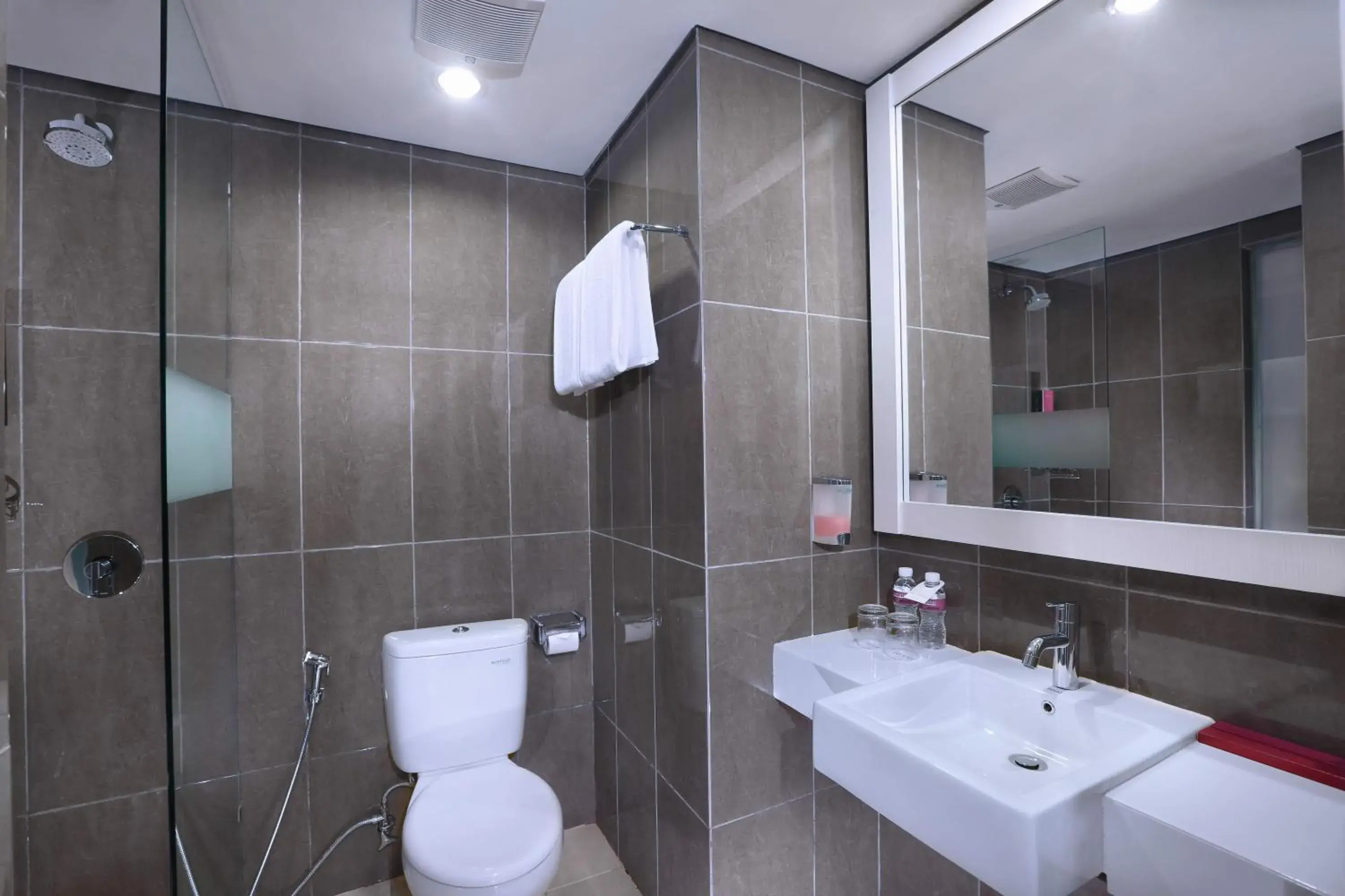 Shower, Bathroom in The Vasini Hotel