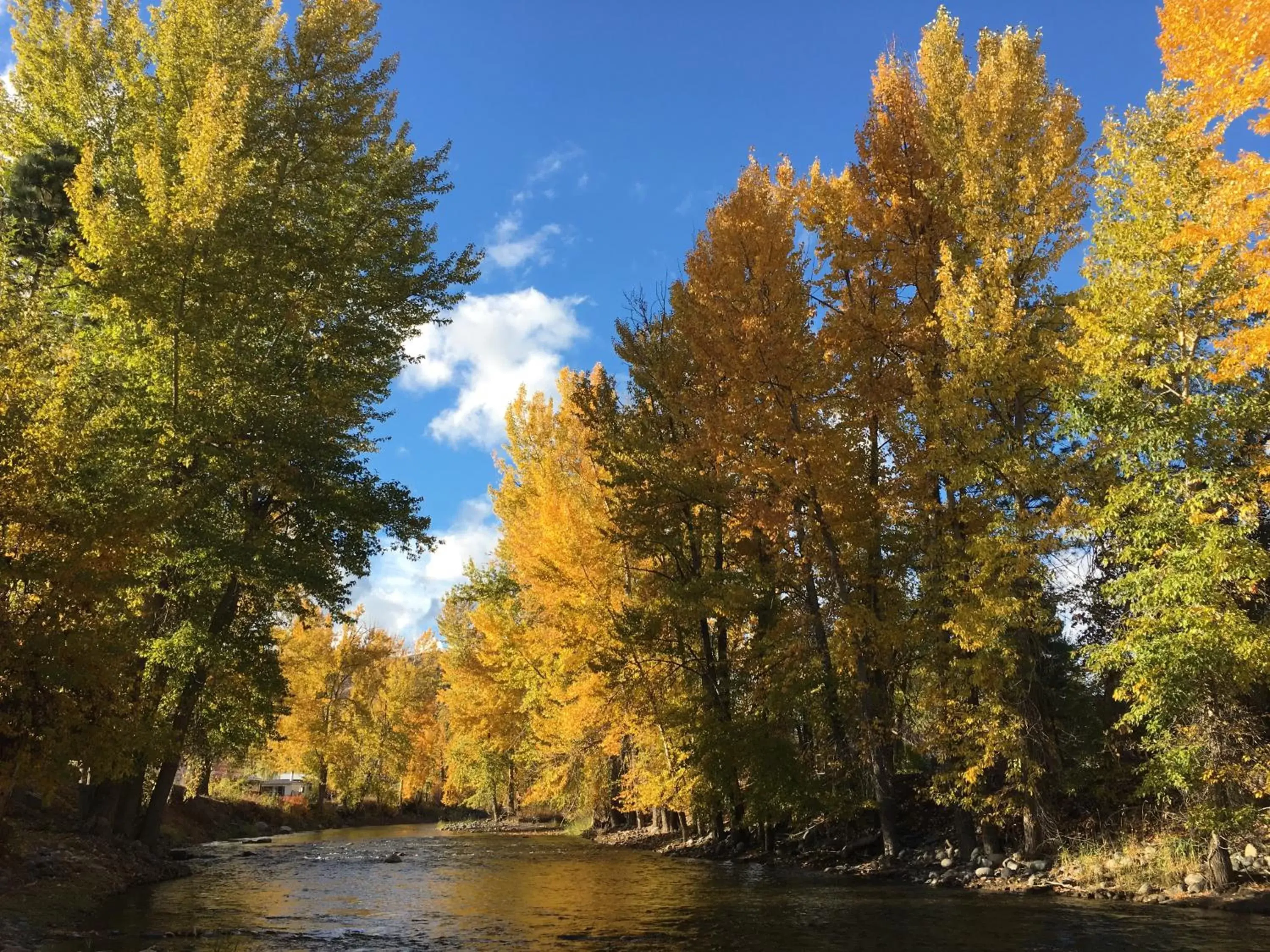 View (from property/room) in Twisp River Suites