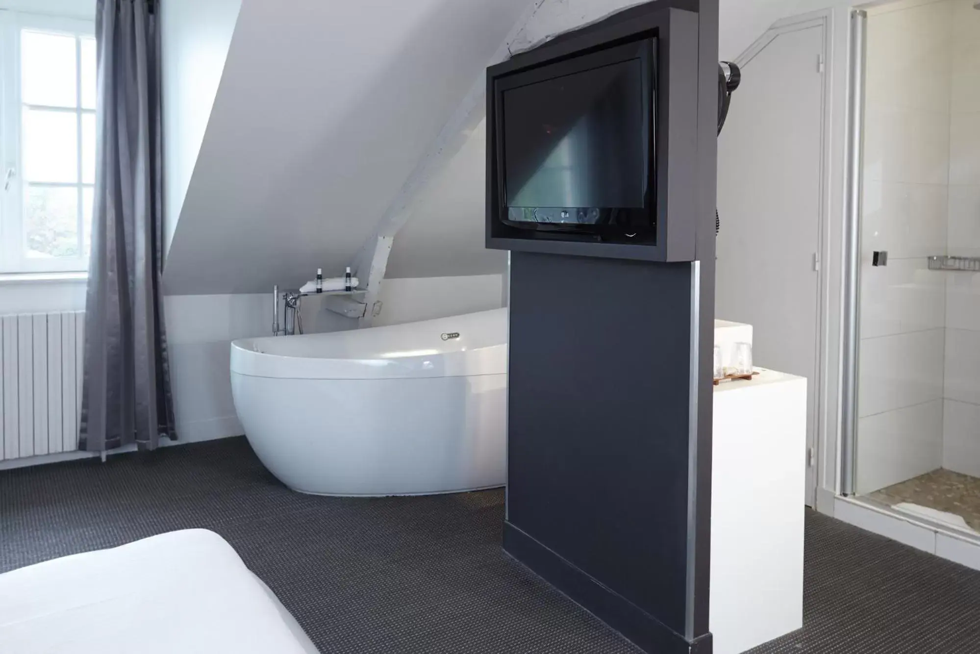 Bathroom, TV/Entertainment Center in Best Western Le Cheval Blanc -Centre- Vieux Port
