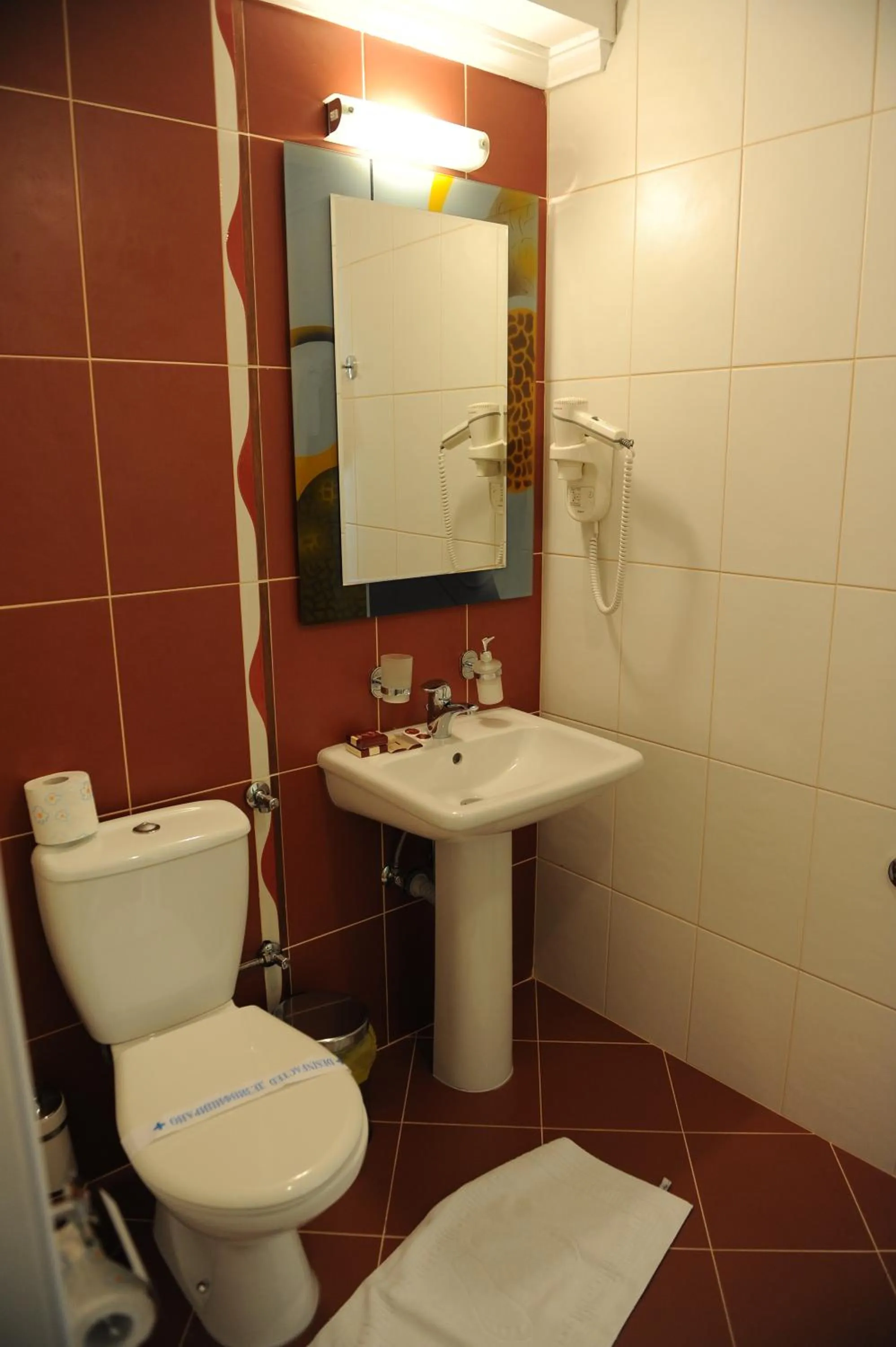 Bathroom in Millenium Palace