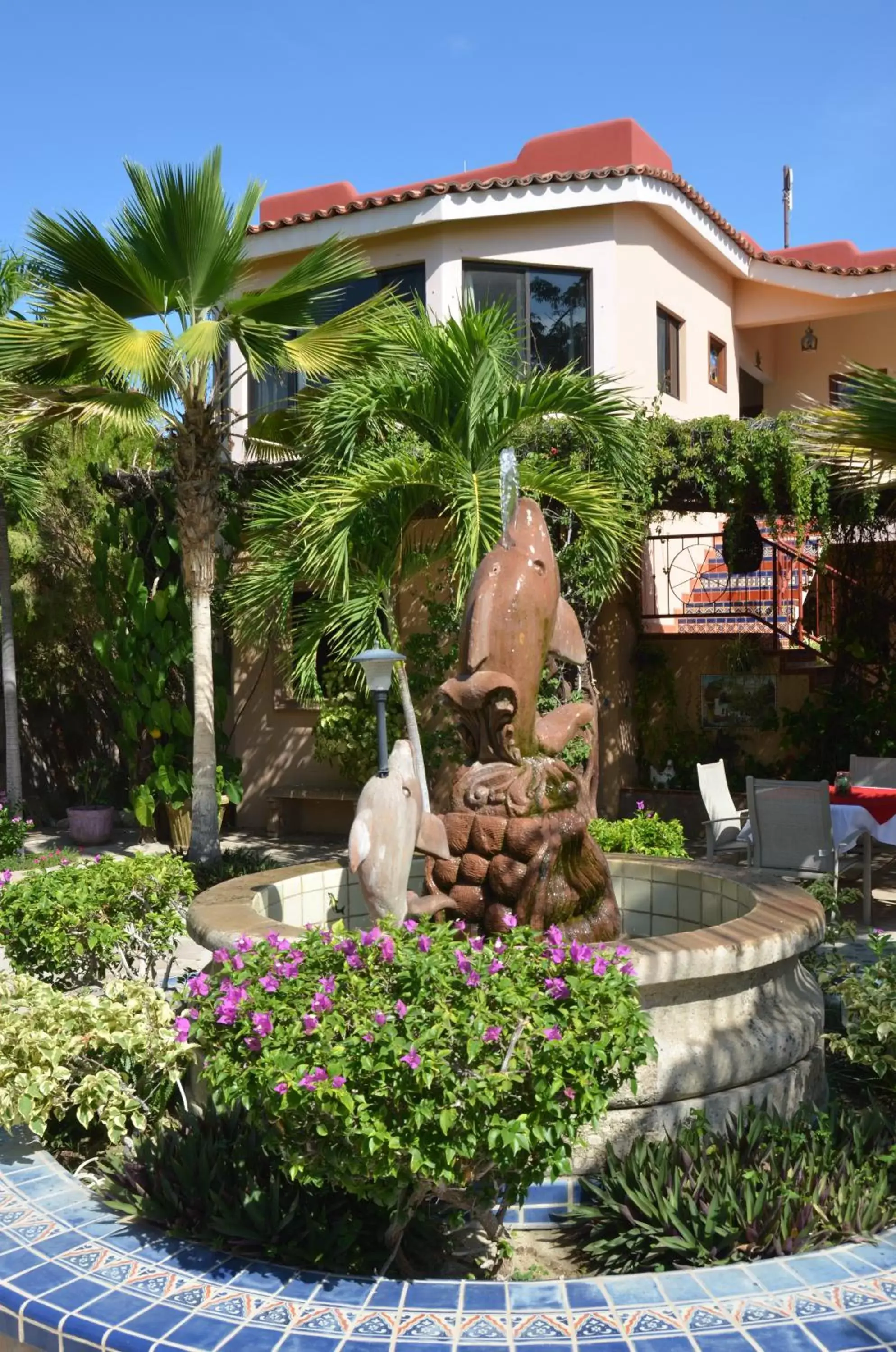 Garden, Property Building in Hacienda De Palmas