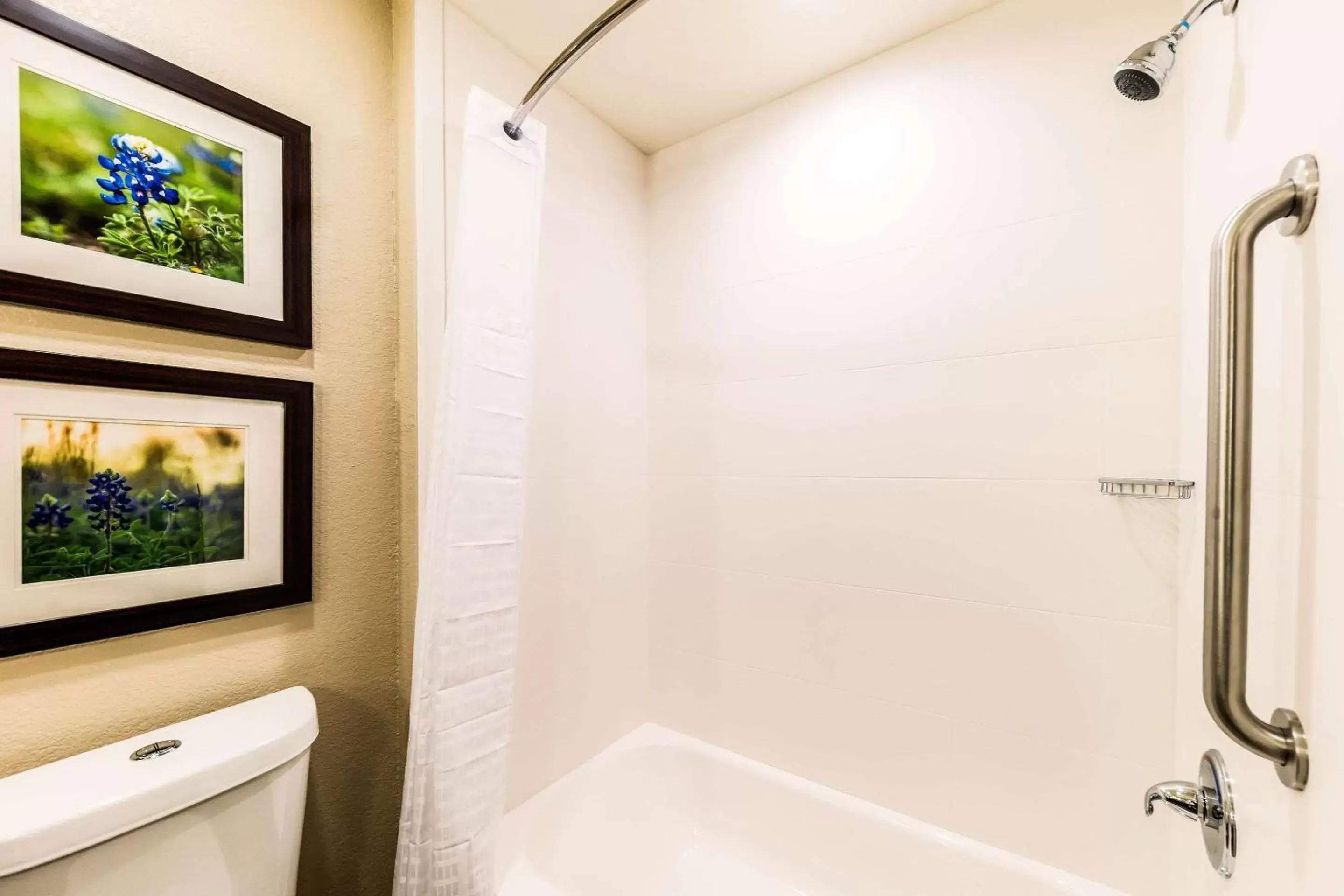 Bathroom in Comfort Suites Grand Prairie - Arlington North