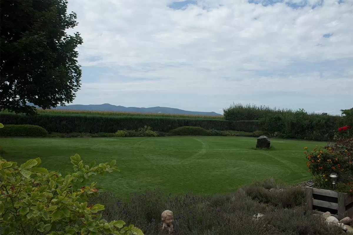 Natural landscape in Gästehaus Vinetum
