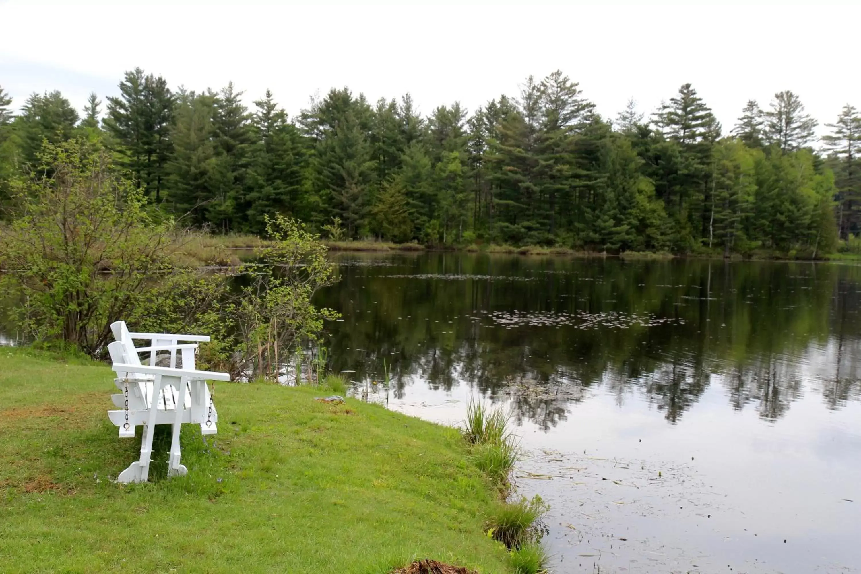 Natural landscape in Sara Placid Inn & Suites