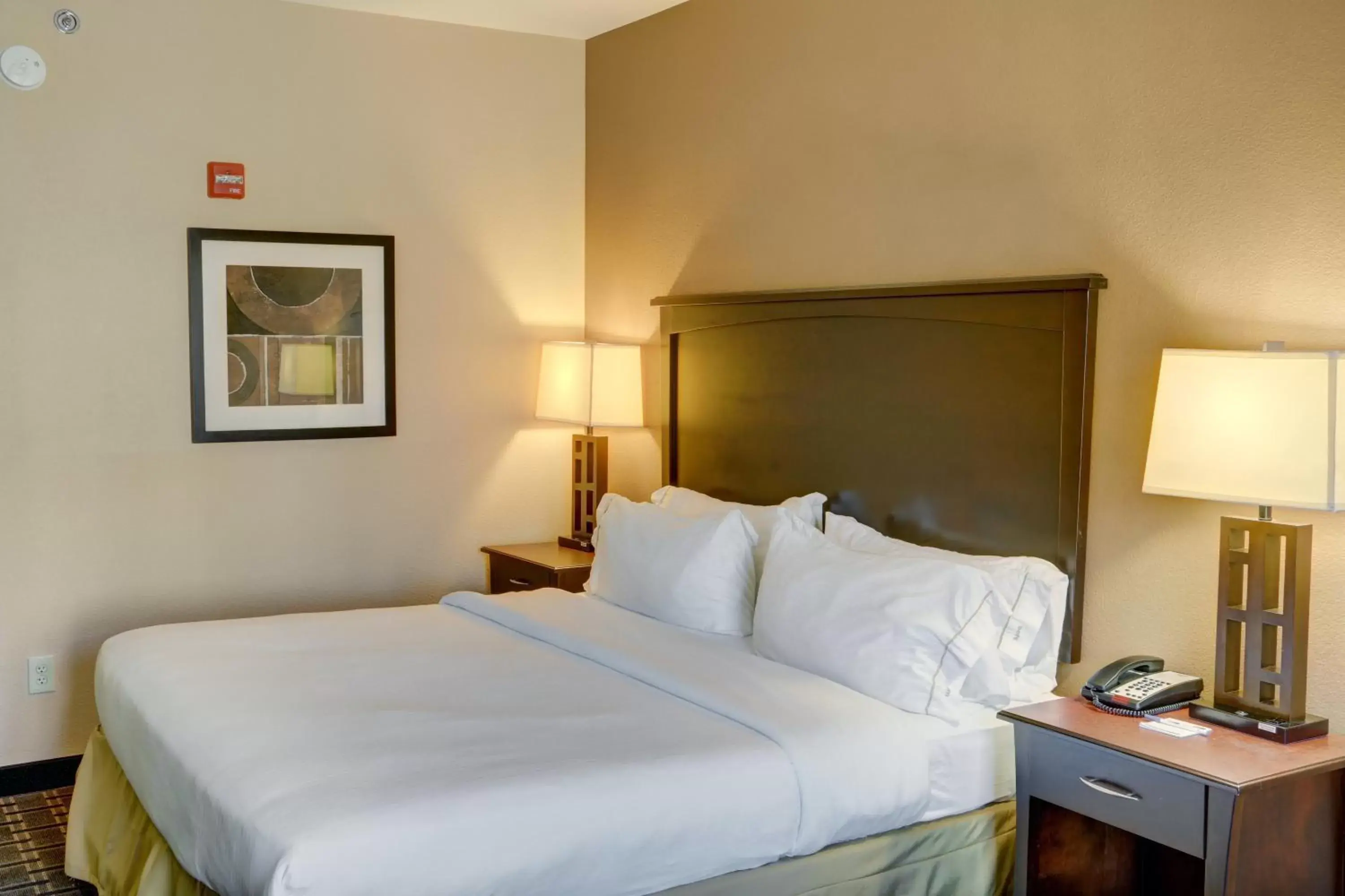 Photo of the whole room, Bed in Holiday Inn Express Hotel & Suites Texarkana East, an IHG Hotel