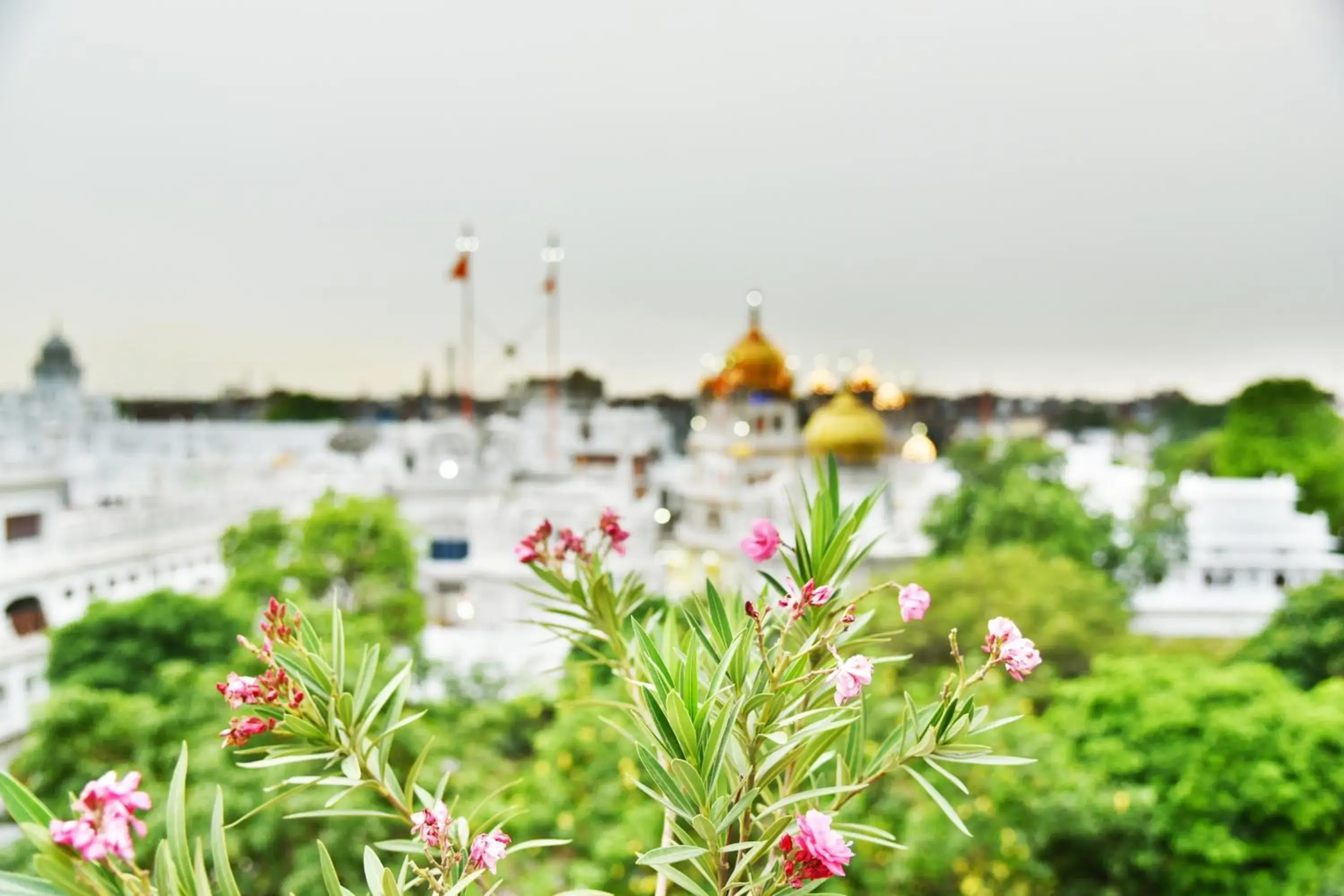 View (from property/room), Neighborhood in Hotel Sapphire Opposite Golden Temple