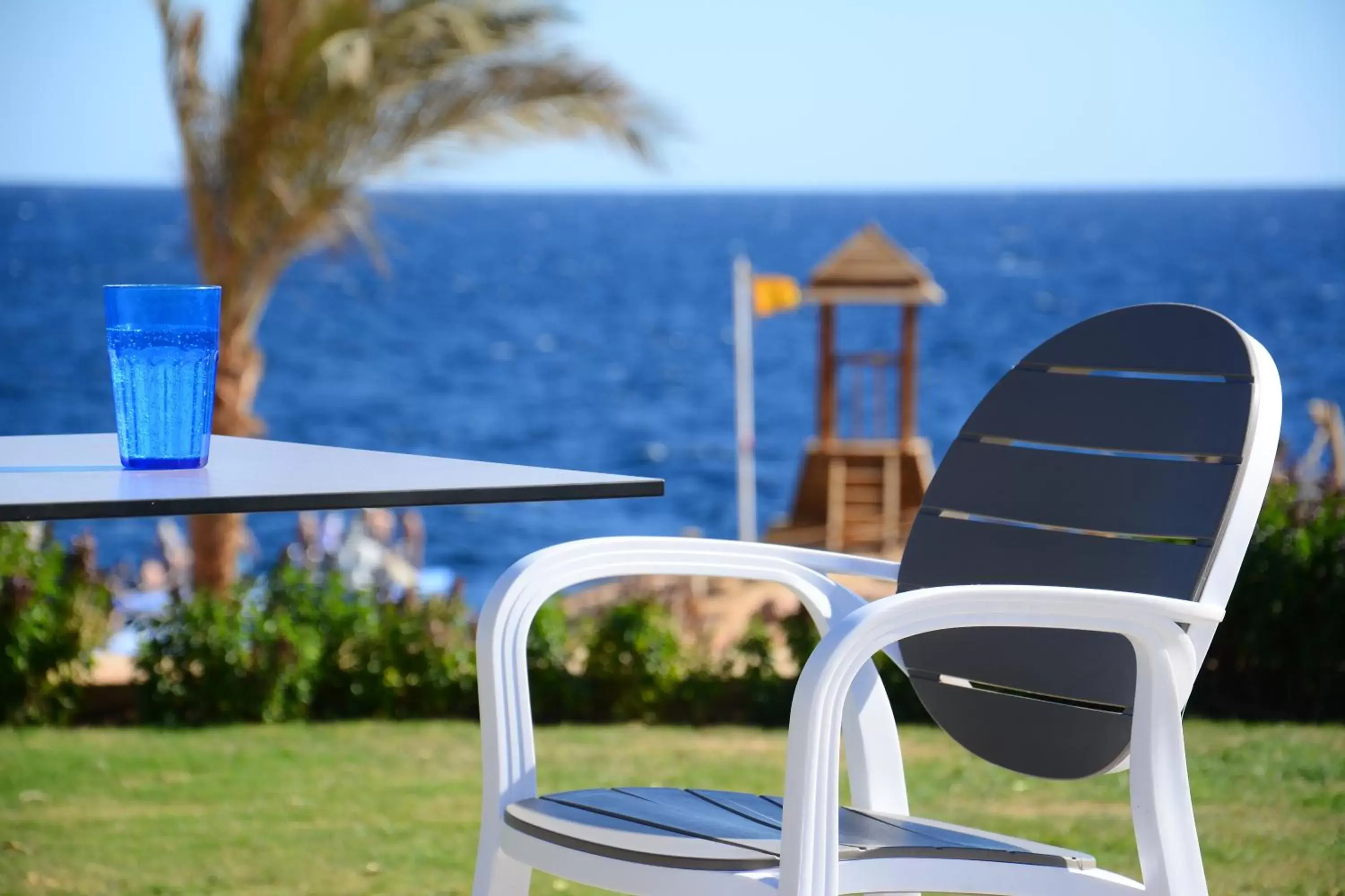 Seating area in Monte Carlo Sharm Resort & Spa