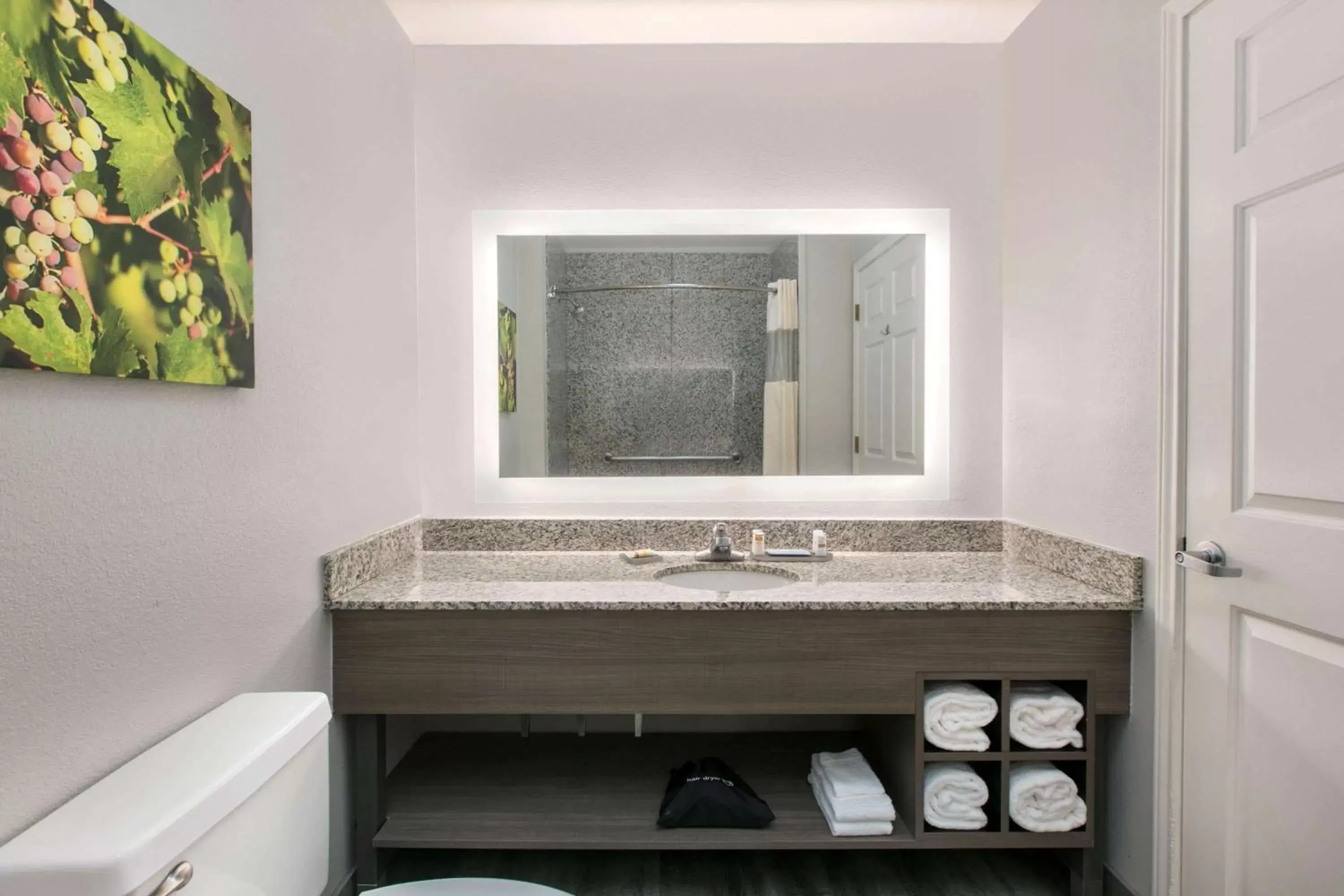 Bathroom in La Quinta by Wyndham Fredericksburg
