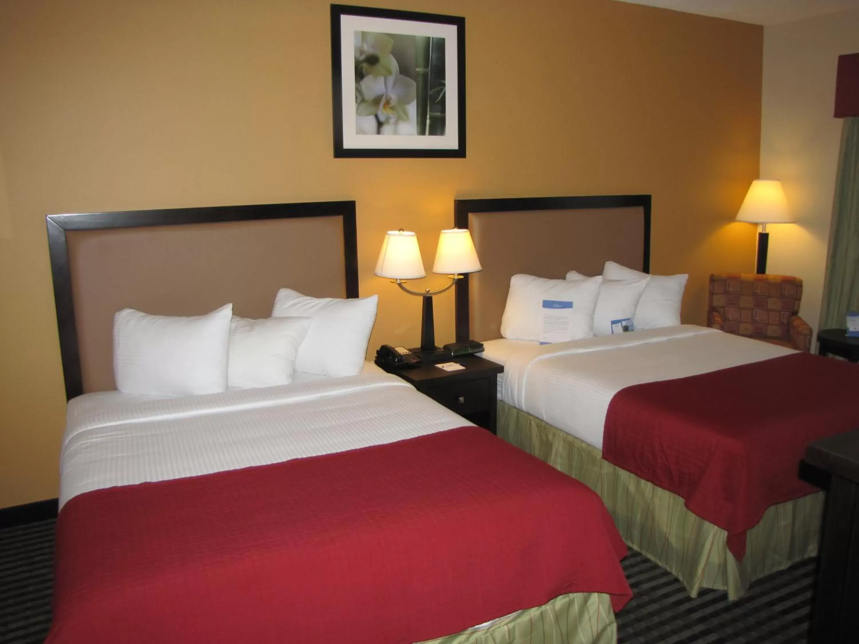 Queen Room with Two Queen Beds - Non-Smoking in Baymont by Wyndham Dallas/ Love Field