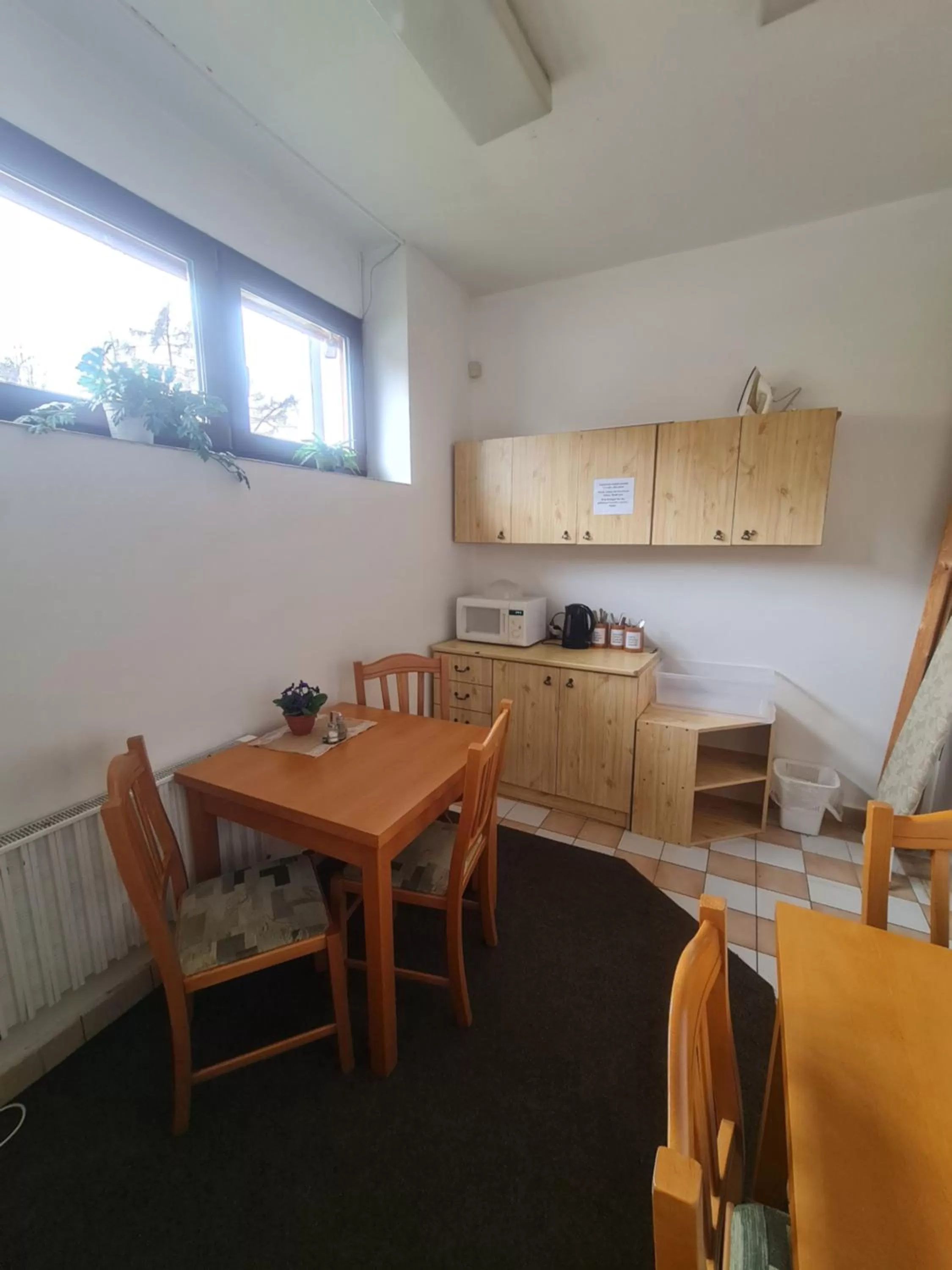 Kitchen or kitchenette in garni Hotel ASAS***