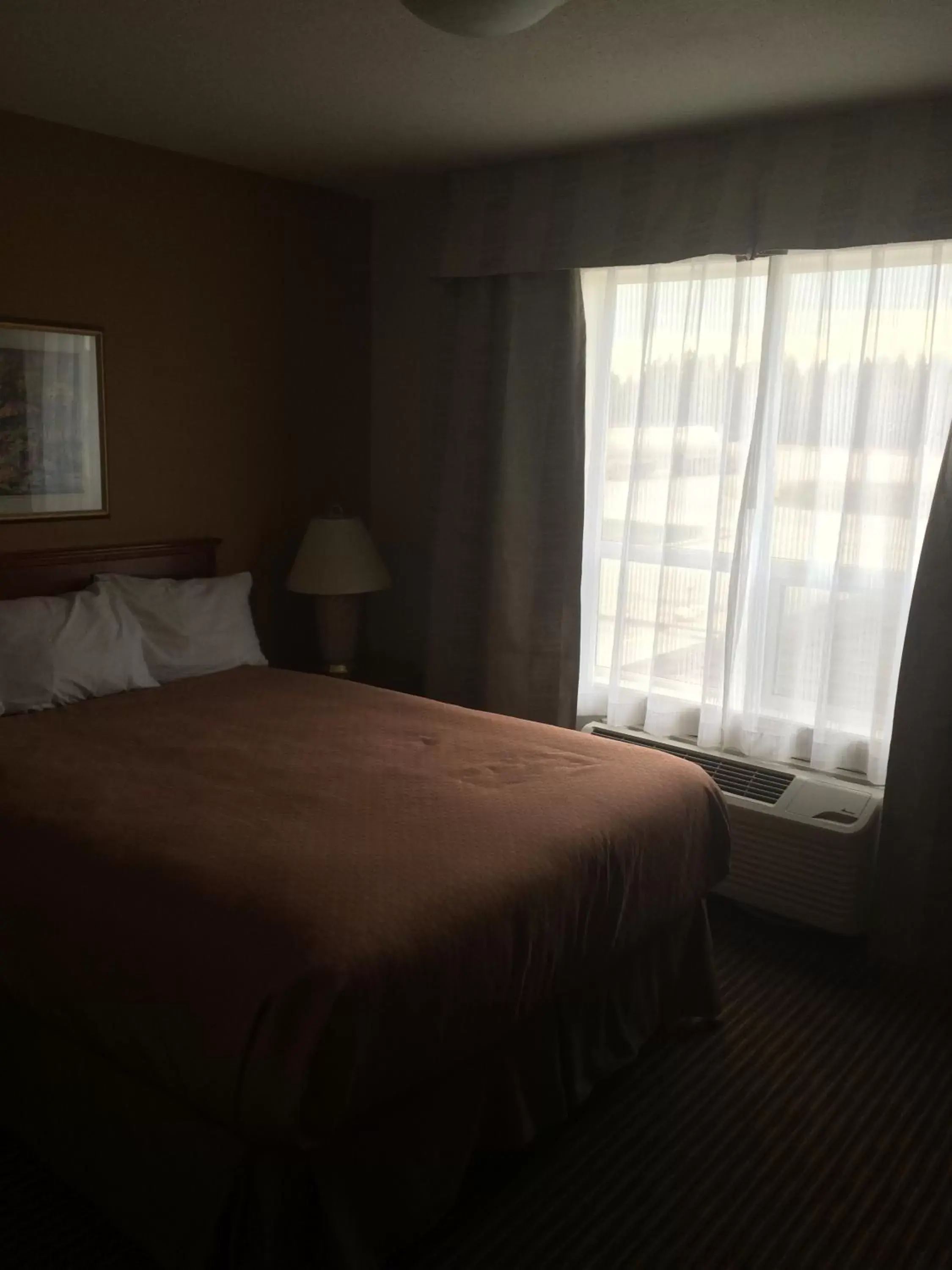 Photo of the whole room, Bed in Foxwood Inn and Suites