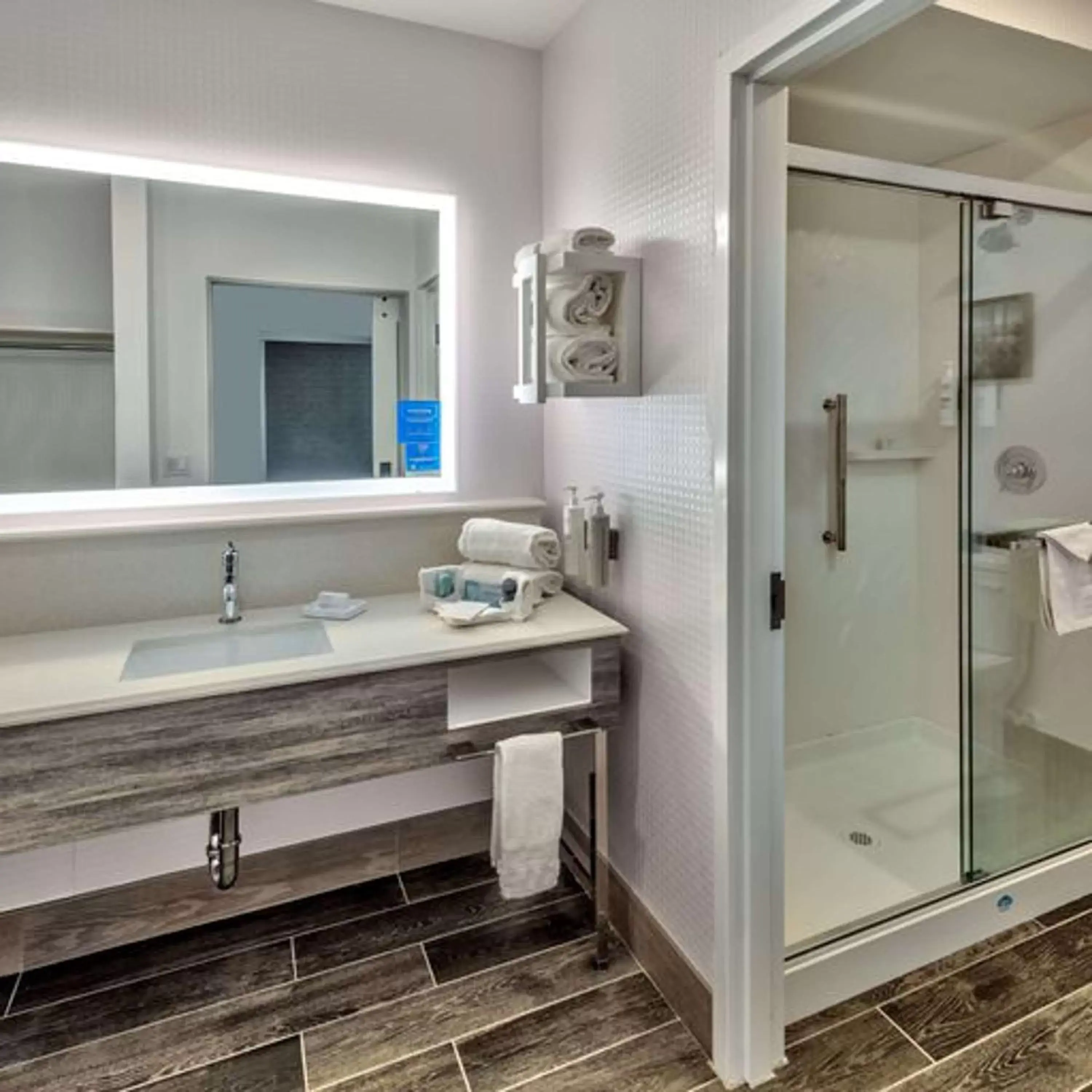 Bathroom in Hampton Inn & Suites South Lake Tahoe