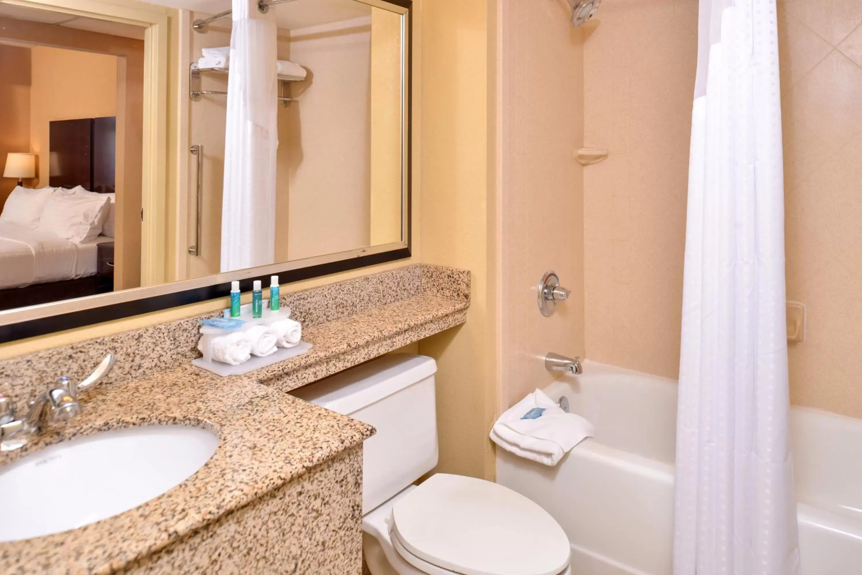 Bathroom in Holiday Inn Express & Suites Buffalo Downtown, an IHG Hotel