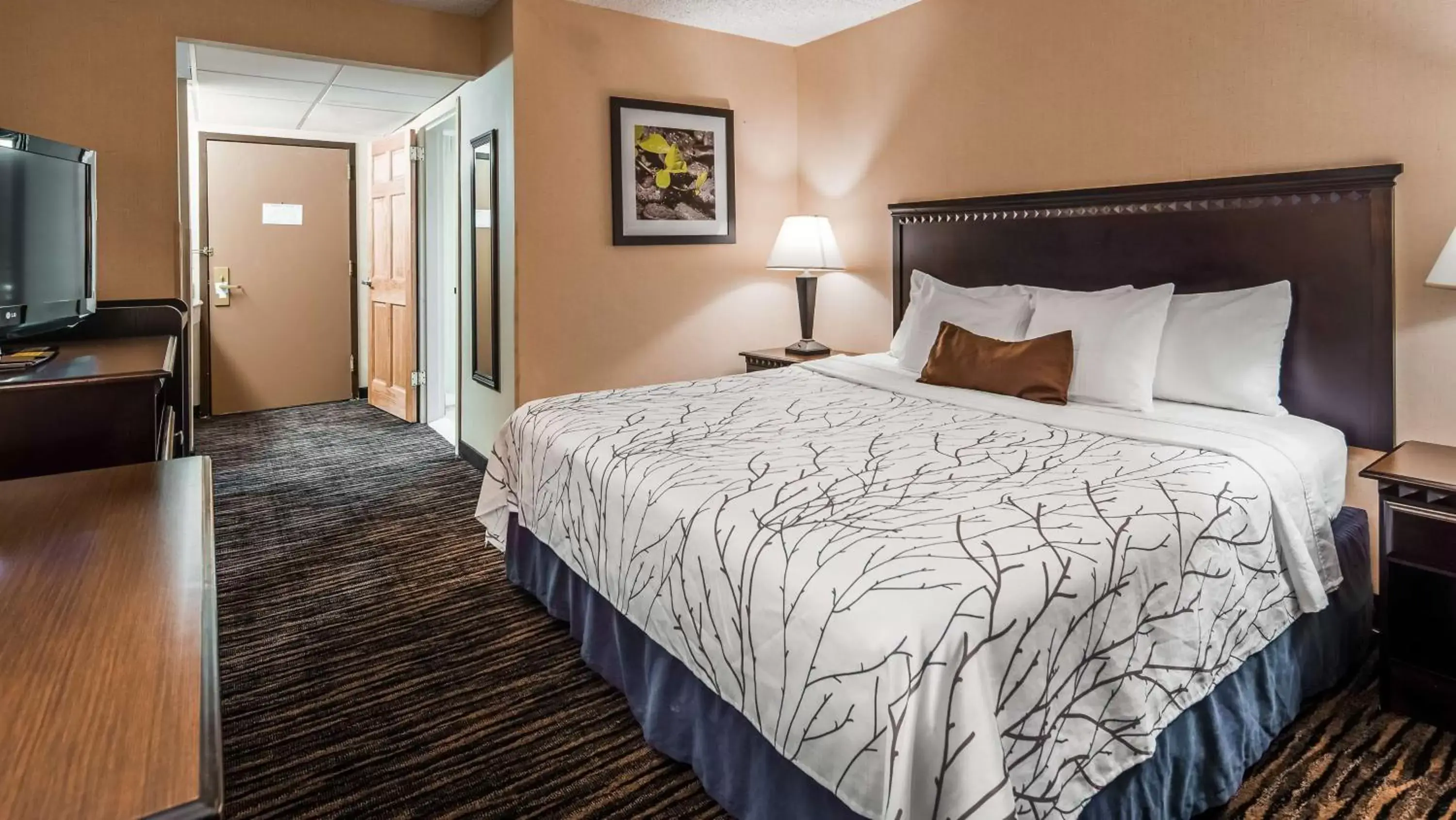 King Room with Mobility Accessible Roll-In Shower in Best Western Hazlet Inn King Room with Mobility Accessible Roll-In Shower in Best Western Hazlet Inn