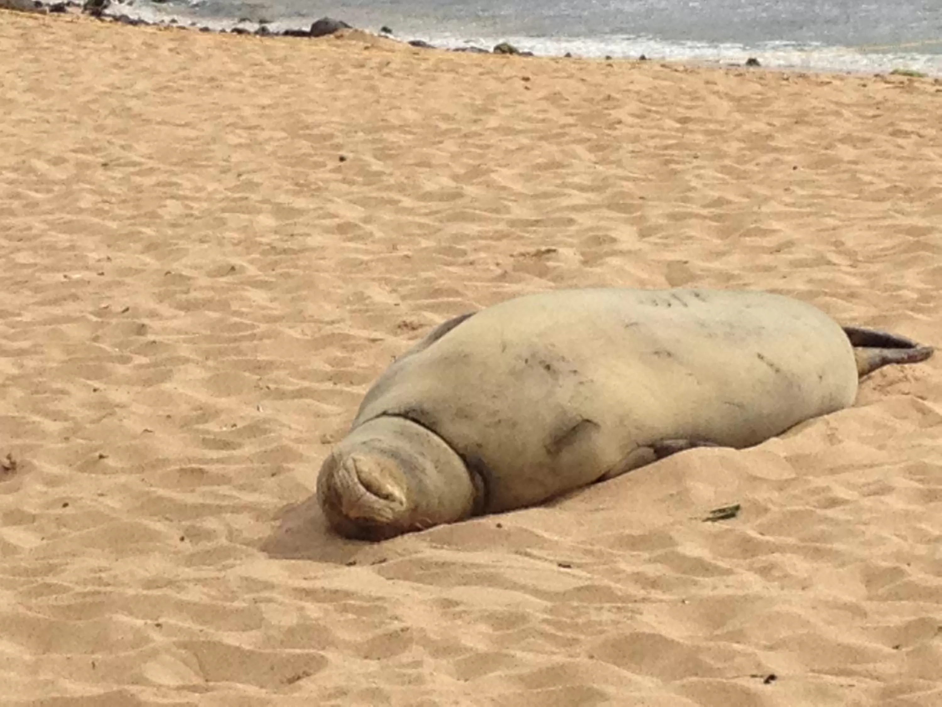 Beach in Aston At Poipu Kai