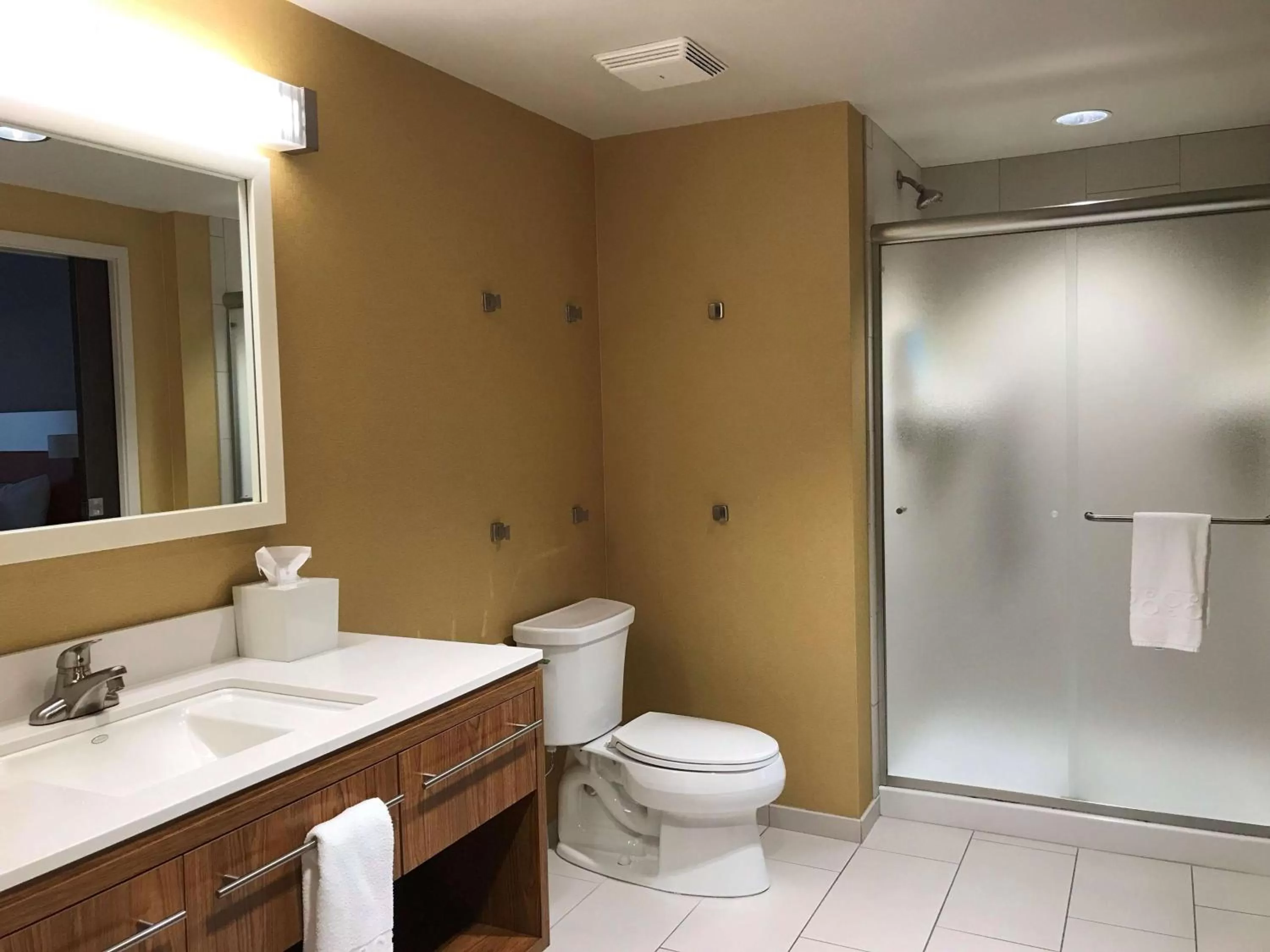 Bathroom in Home2 Suites by Hilton Fort Smith