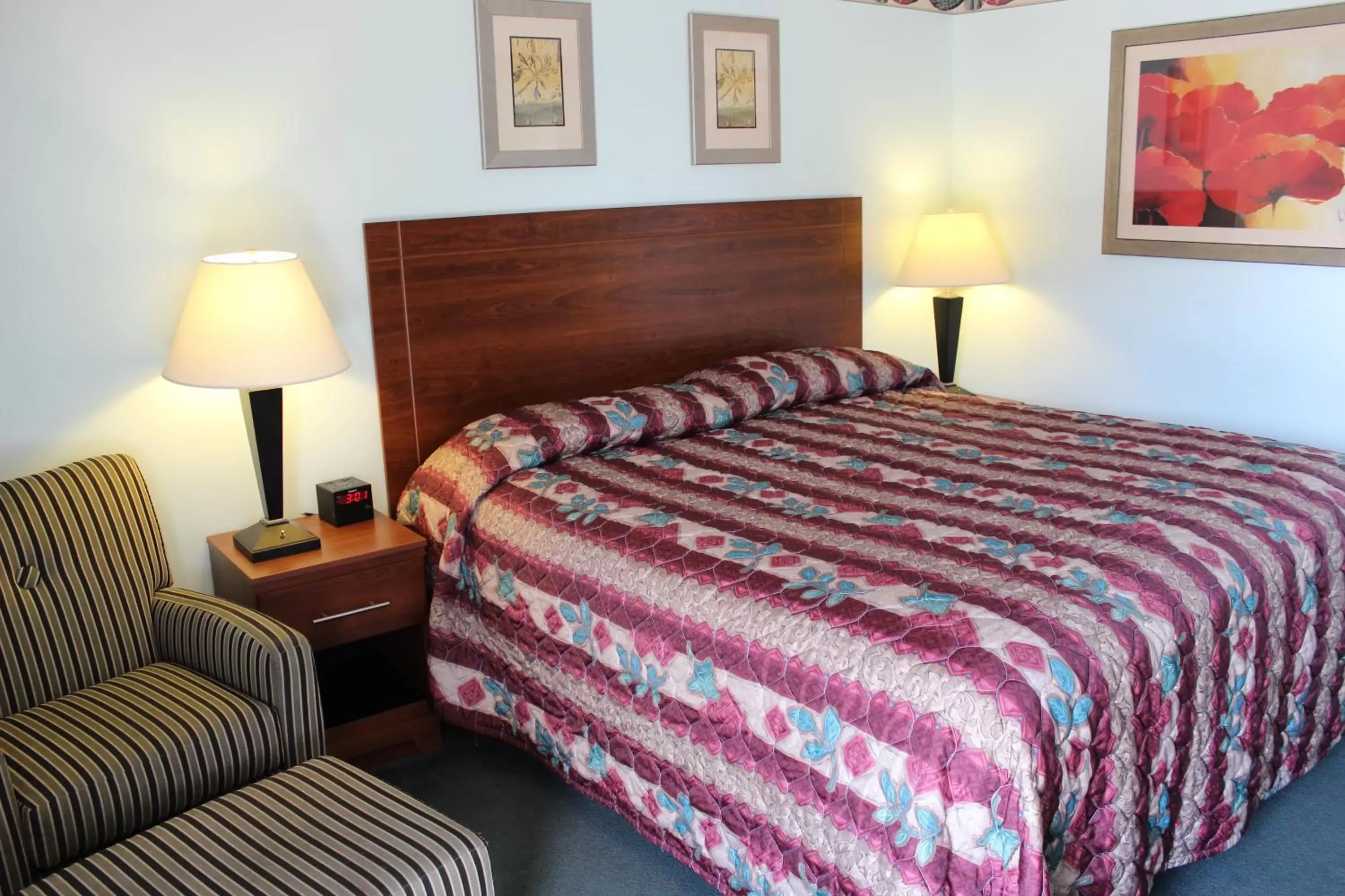 King Room in Safari Inn King Room in Safari Inn