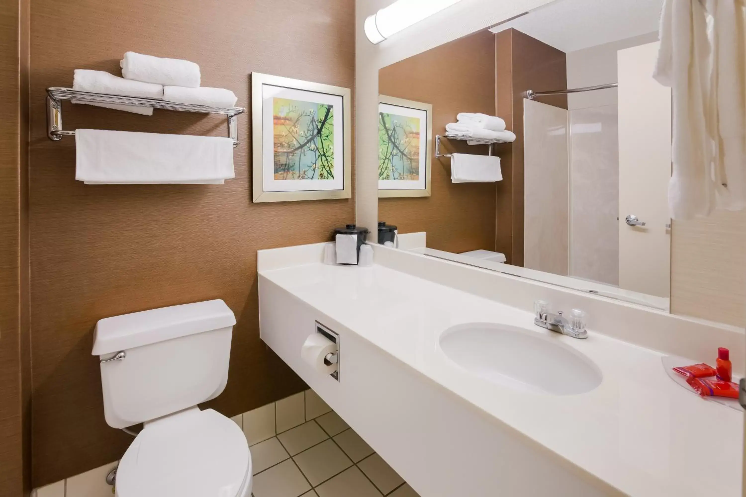 Bathroom in SureStay Plus Hotel by Best Western Minot