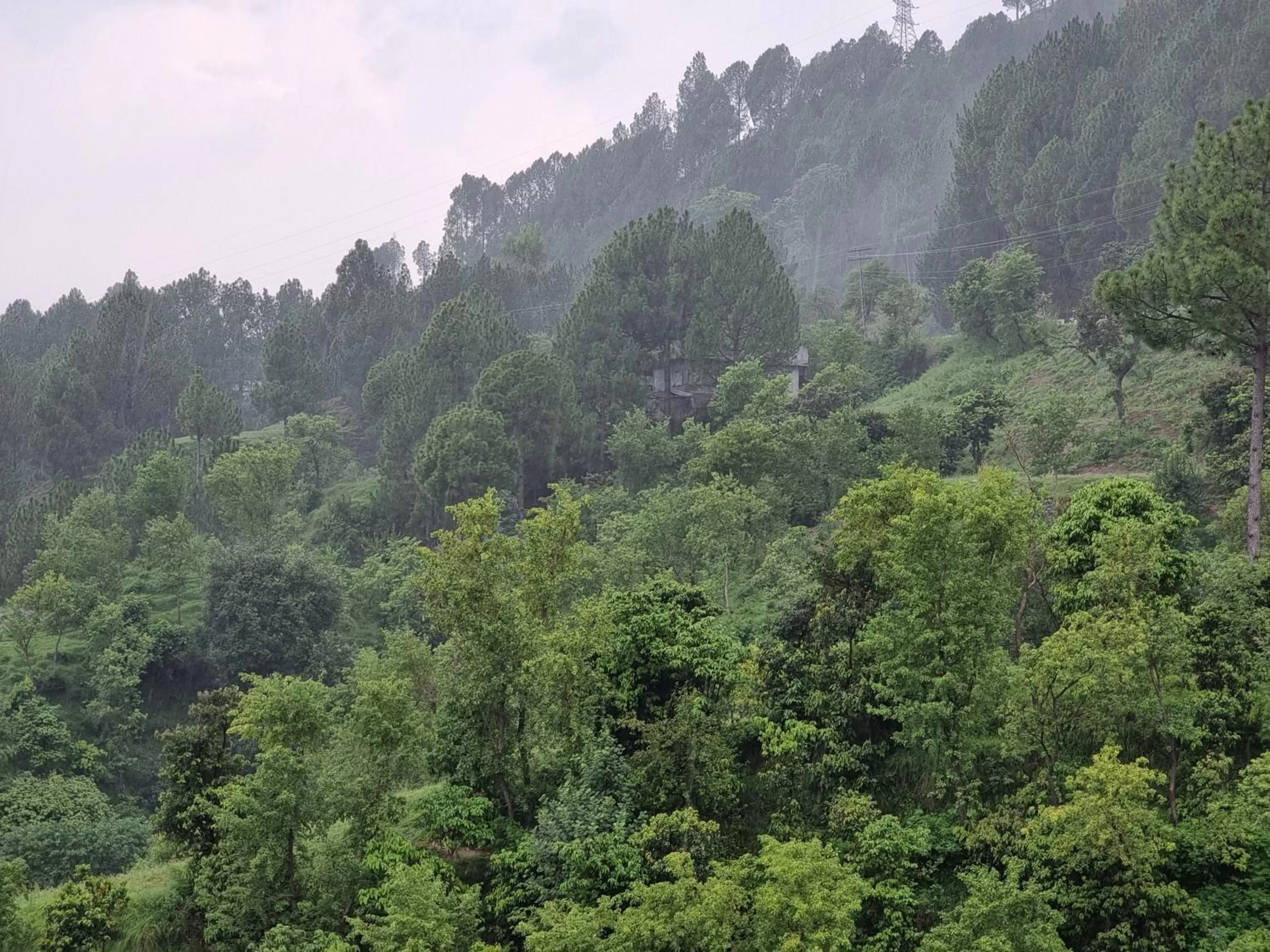 Natural landscape in Srinagar Homes