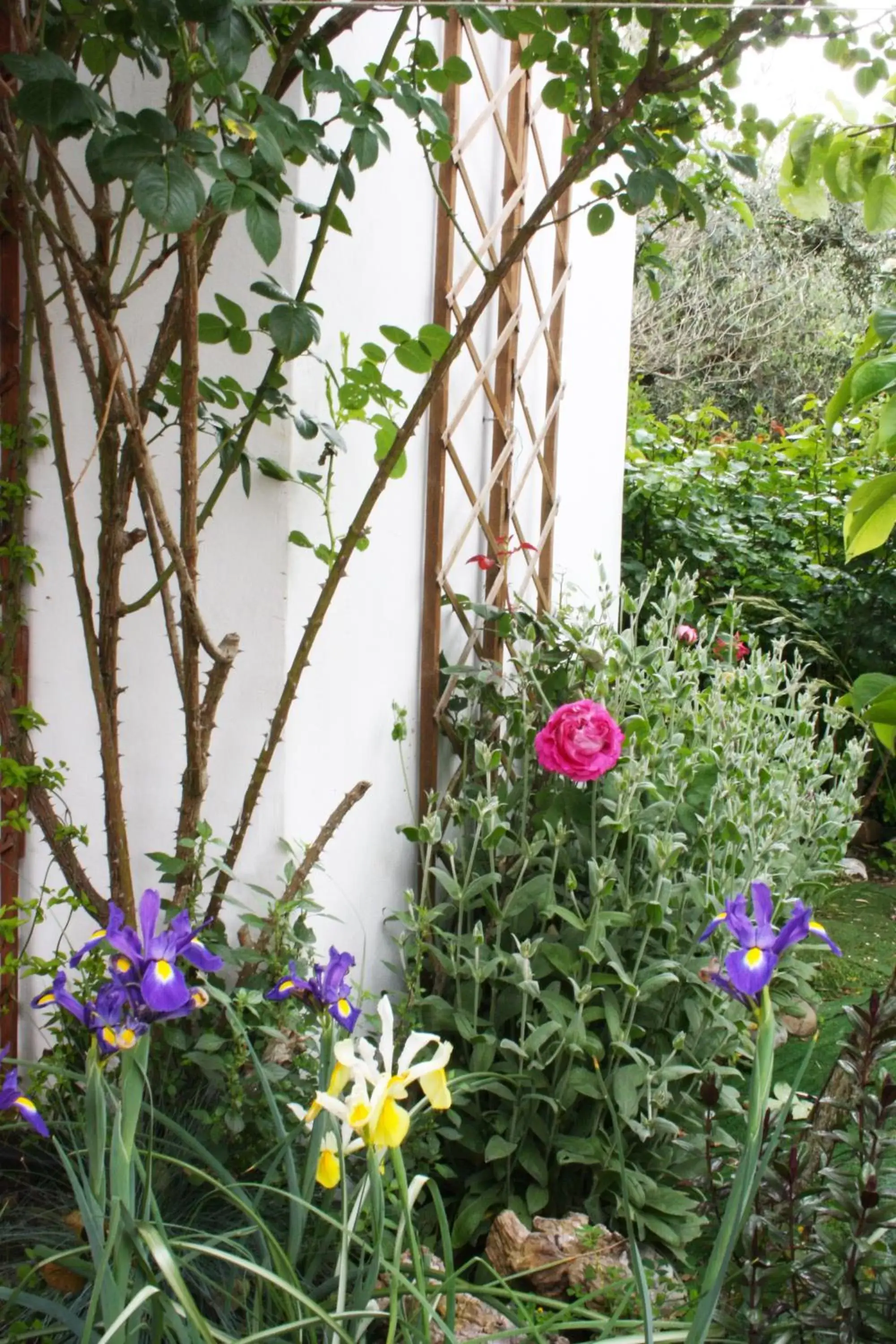 Garden in Mini suite alla Cascata