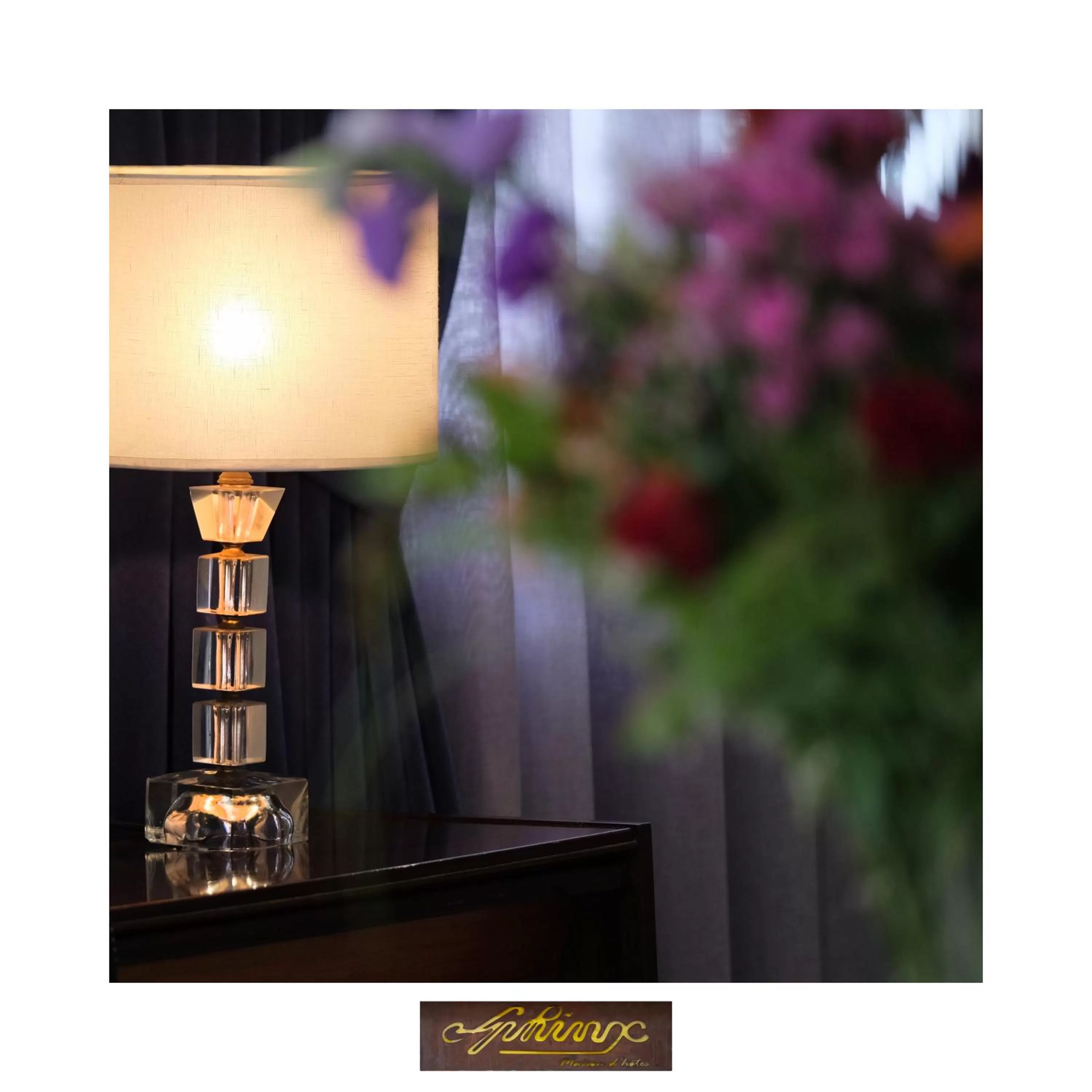 Decorative detail in Le Sphinx Boutique Hôtel