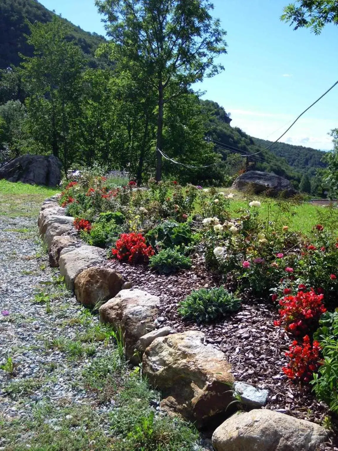 Garden in Il Falco E La Volpe