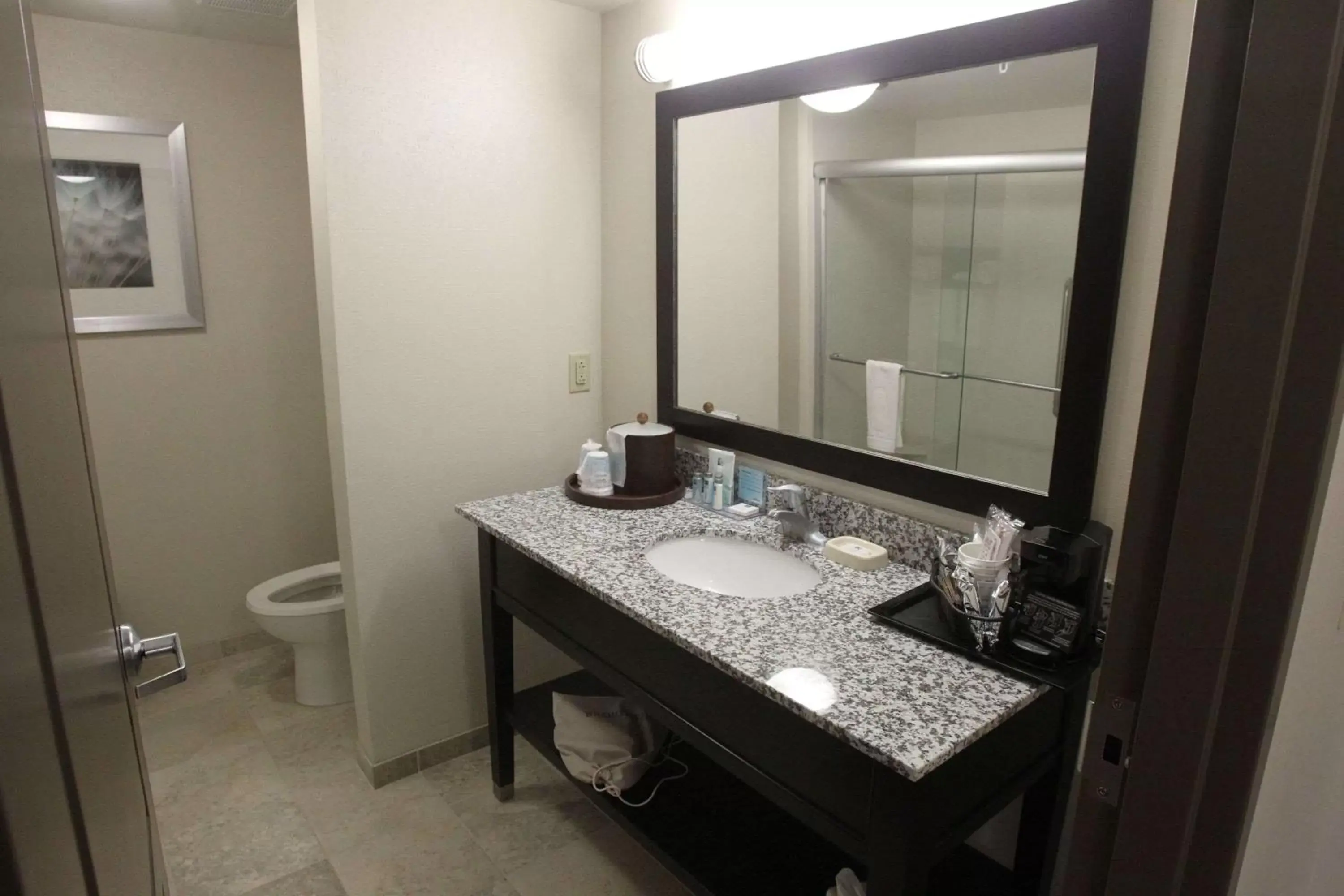 Bathroom in Hampton Inn & Suites Seneca-Clemson Area