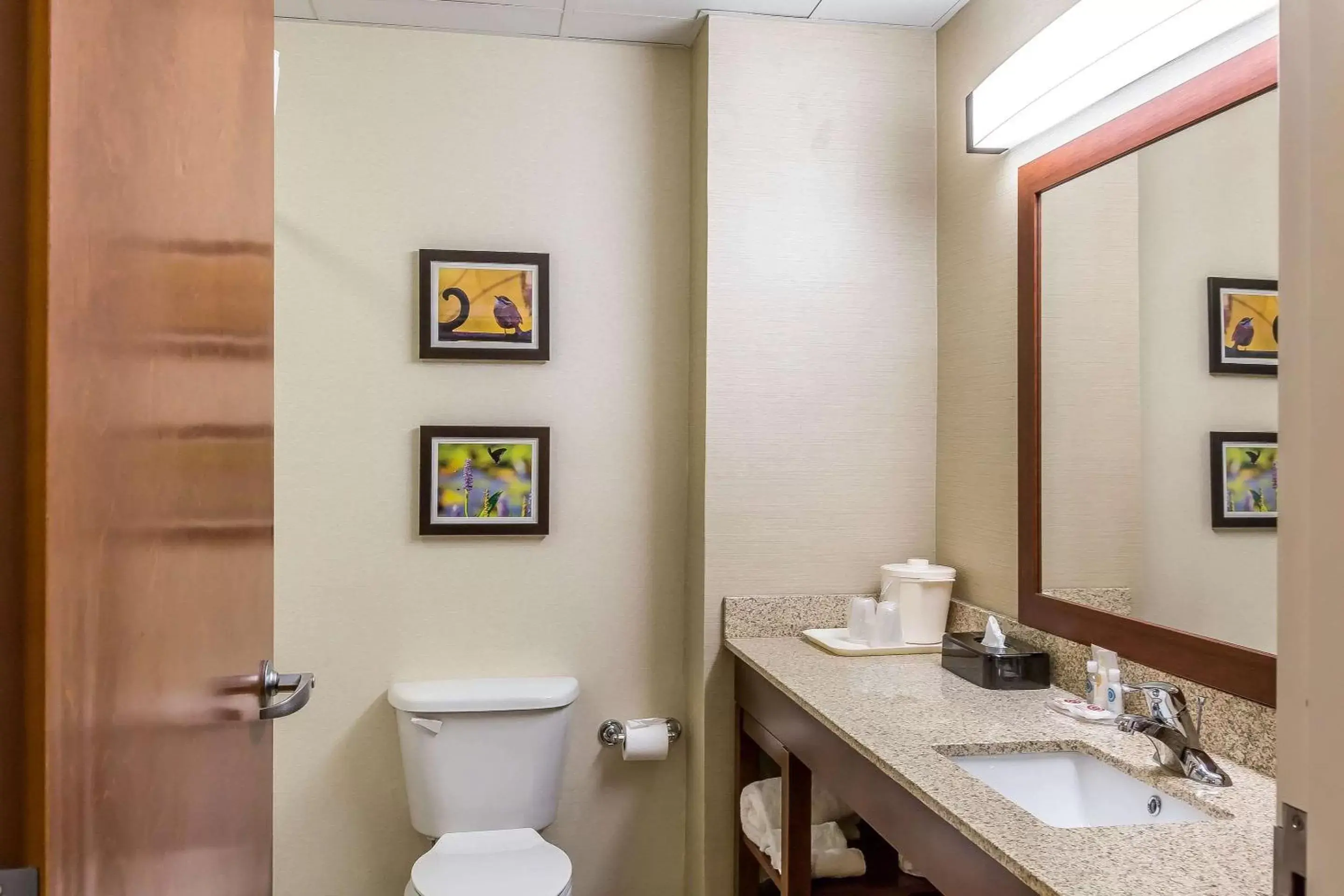 Toilet, Bathroom in Comfort Inn