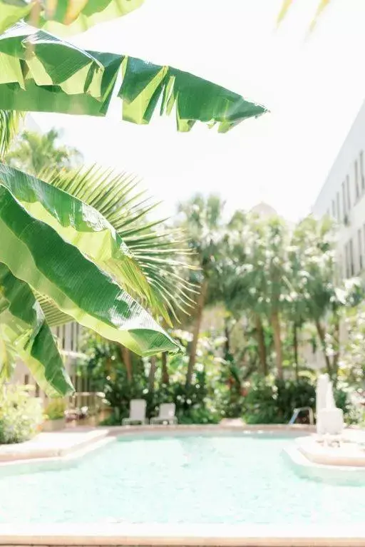 Garden in Hemingway Suites at Palm Beach Hotel Island