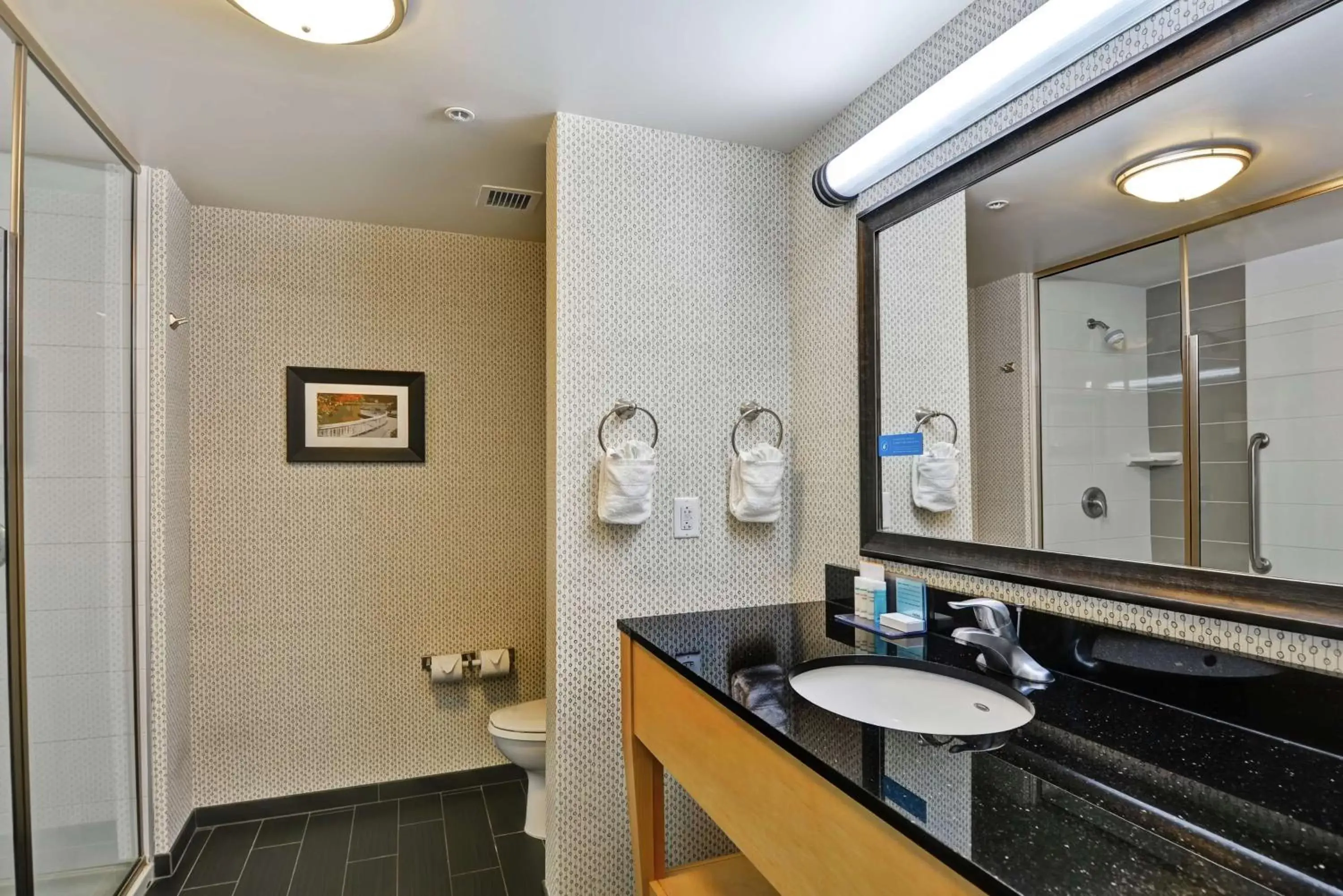 Bathroom in Hampton Inn & Suites Crabtree