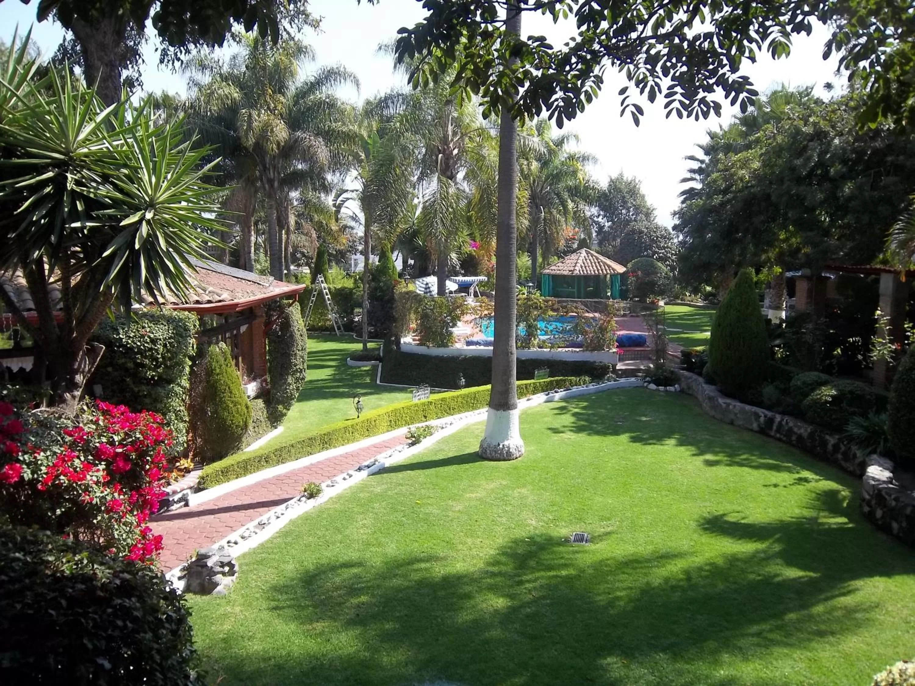 Garden in Posada Los Alcatraces