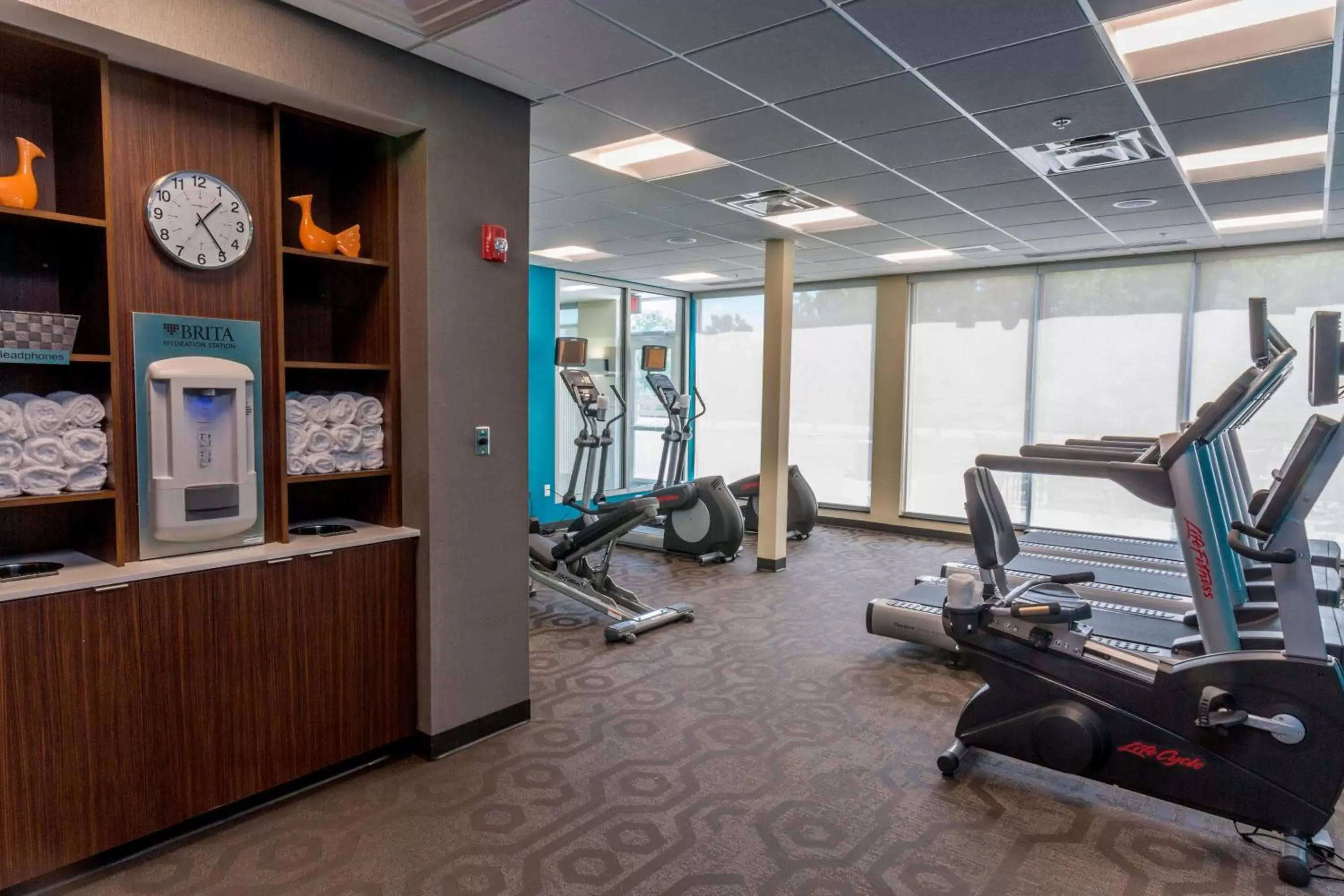 Fitness centre/facilities, Fitness Center/Facilities in Fairfield Inn & Suites by Marriott Geneva Finger Lakes