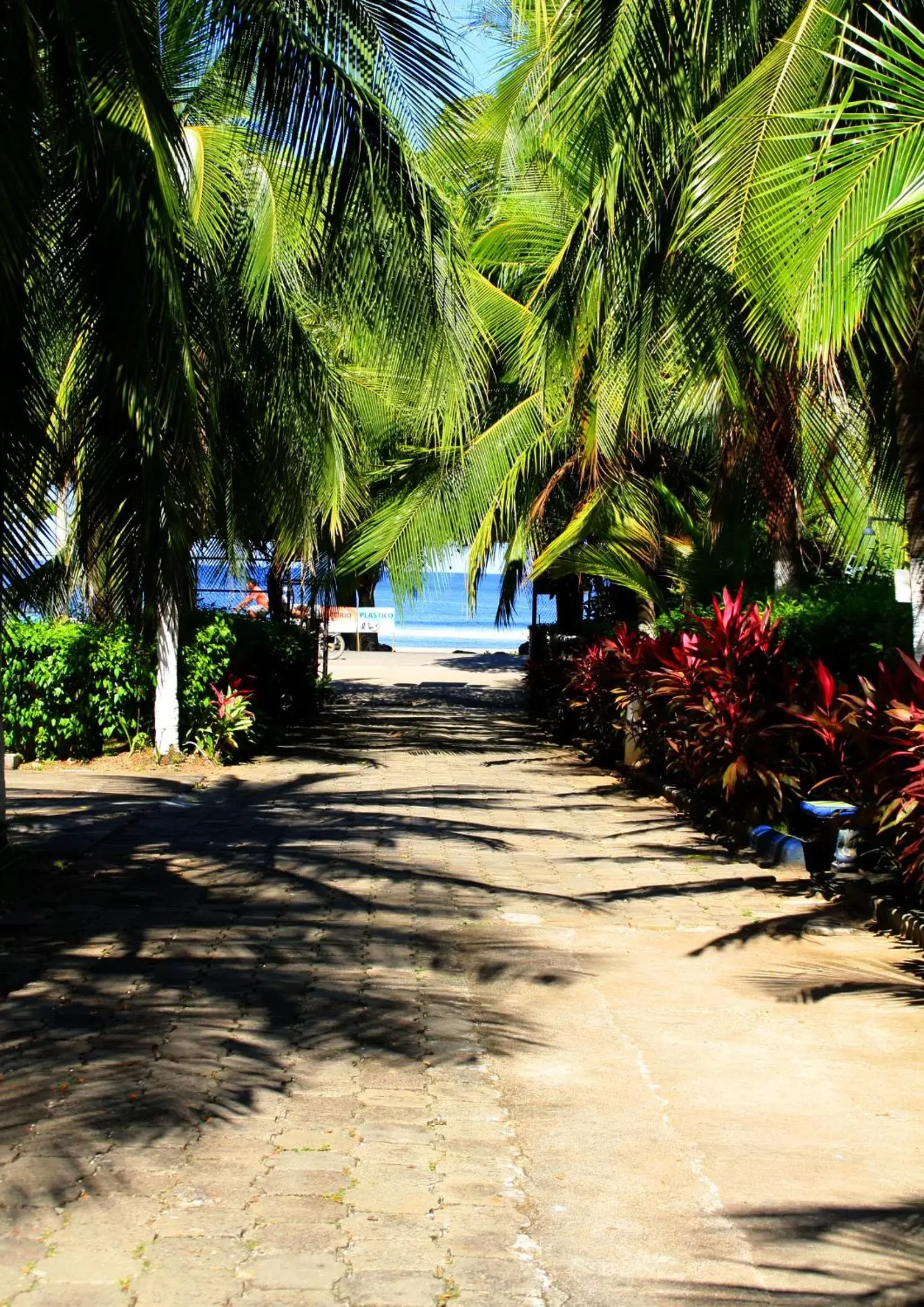 Beach in Hotel Marielos