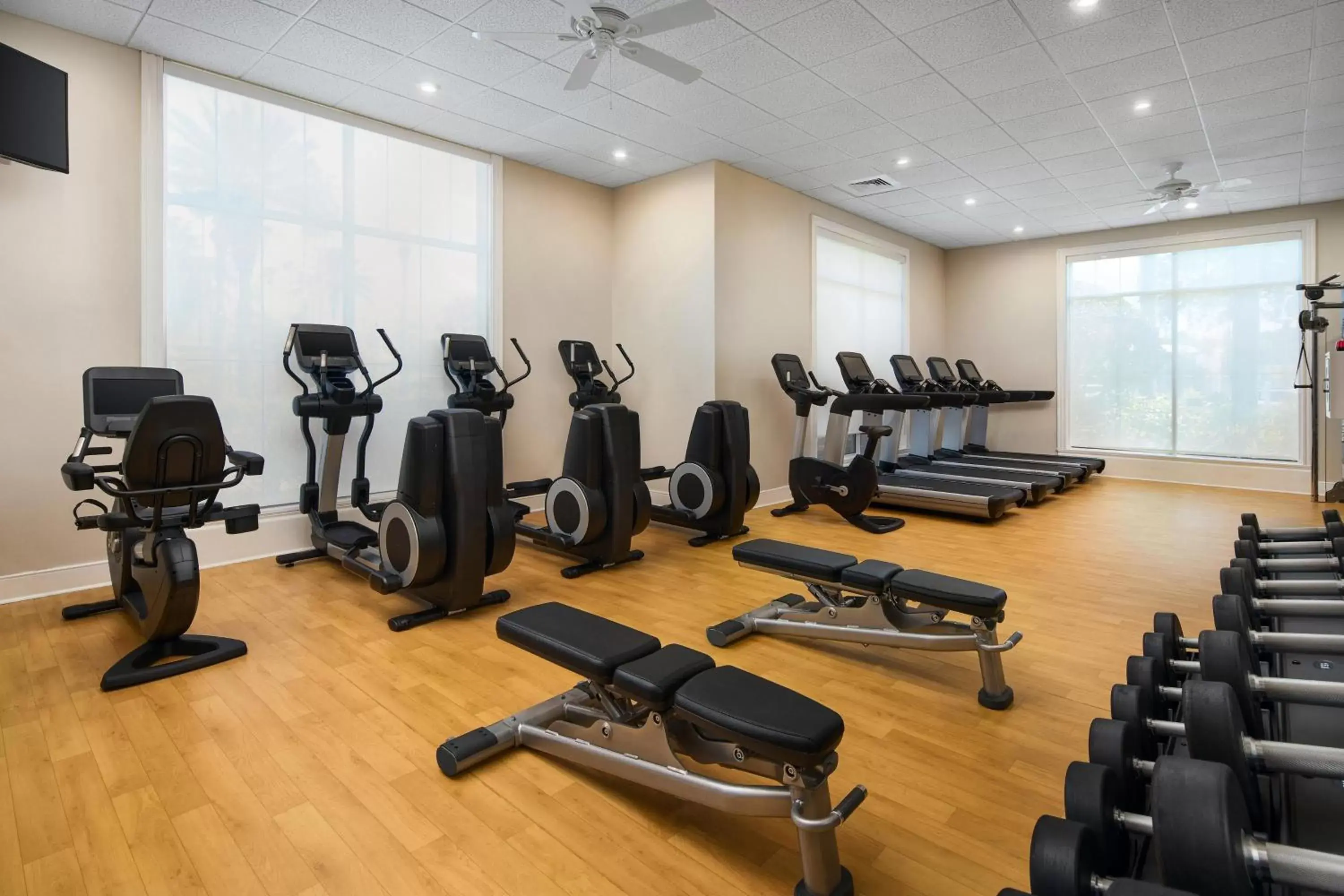 Fitness centre/facilities, Fitness Center/Facilities in Sheraton Vistana Villages Resort Villas, I-Drive Orlando