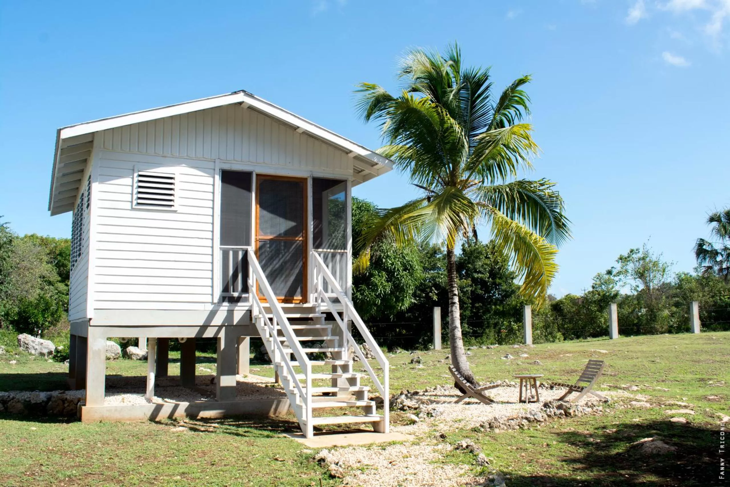 Property building in Horse Cottage