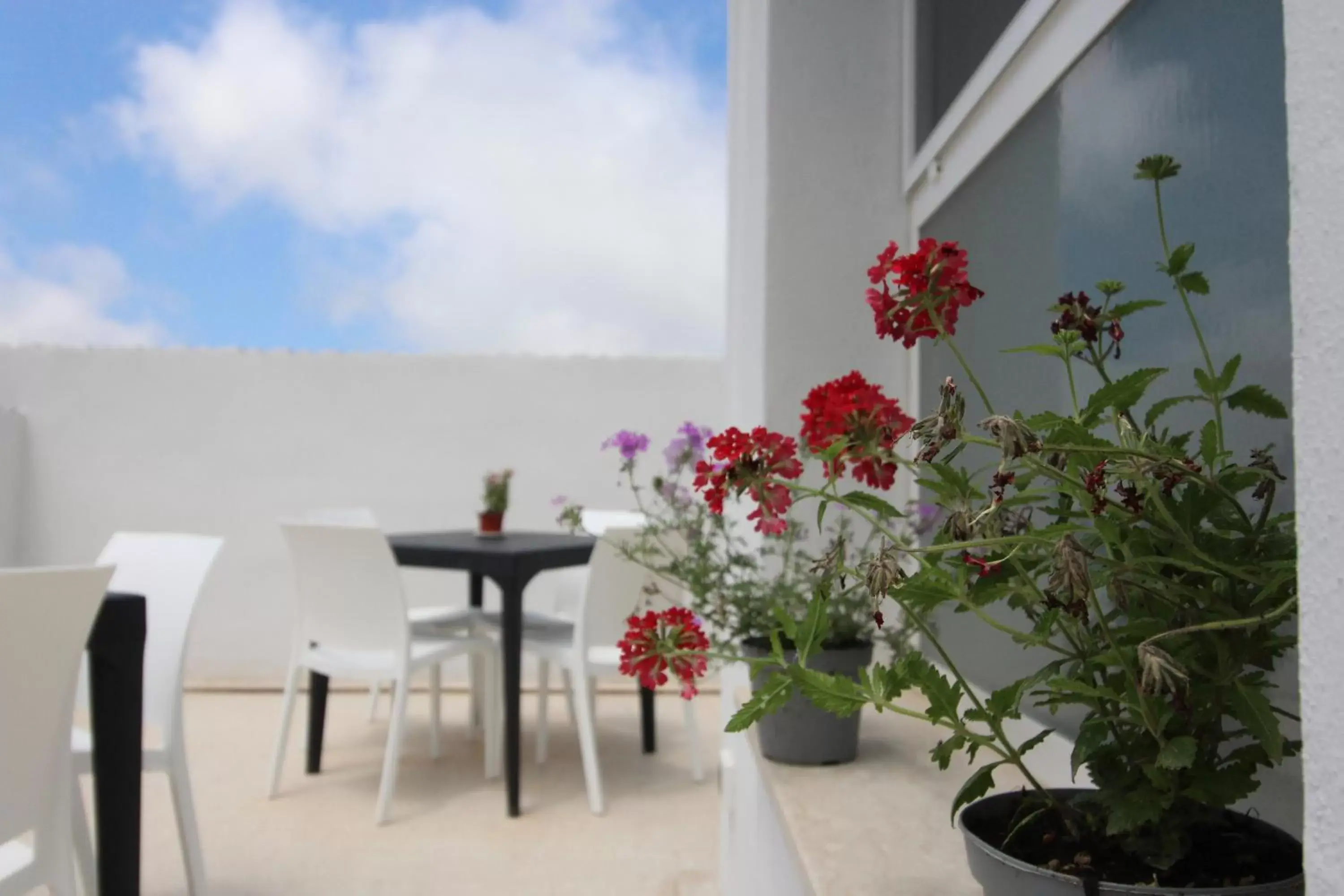 Balcony/Terrace in BED & BREAKFAST VAL di ERICE