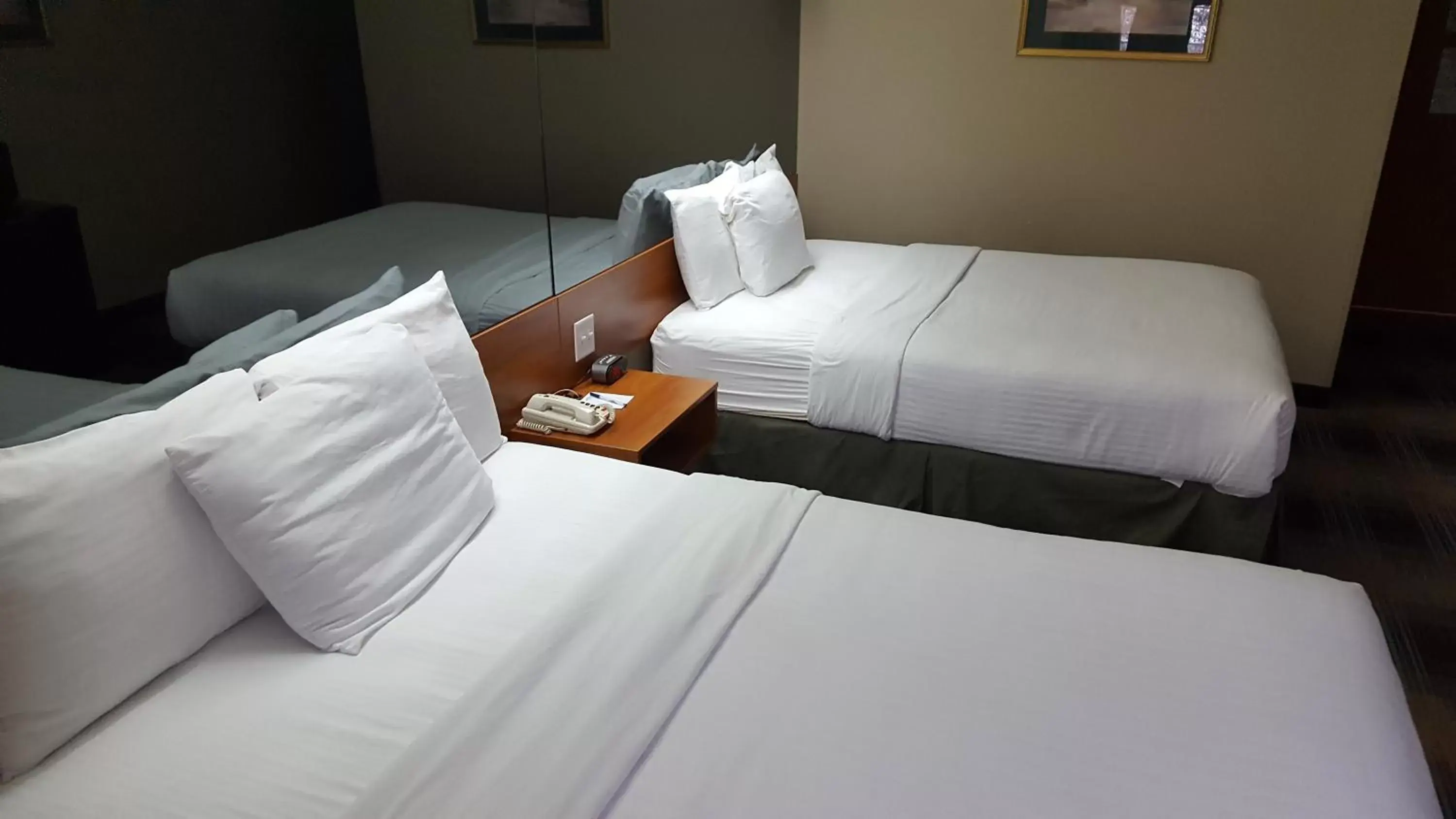 Photo of the whole room, Bed in Microtel Inn & Suites by Wyndham Bozeman