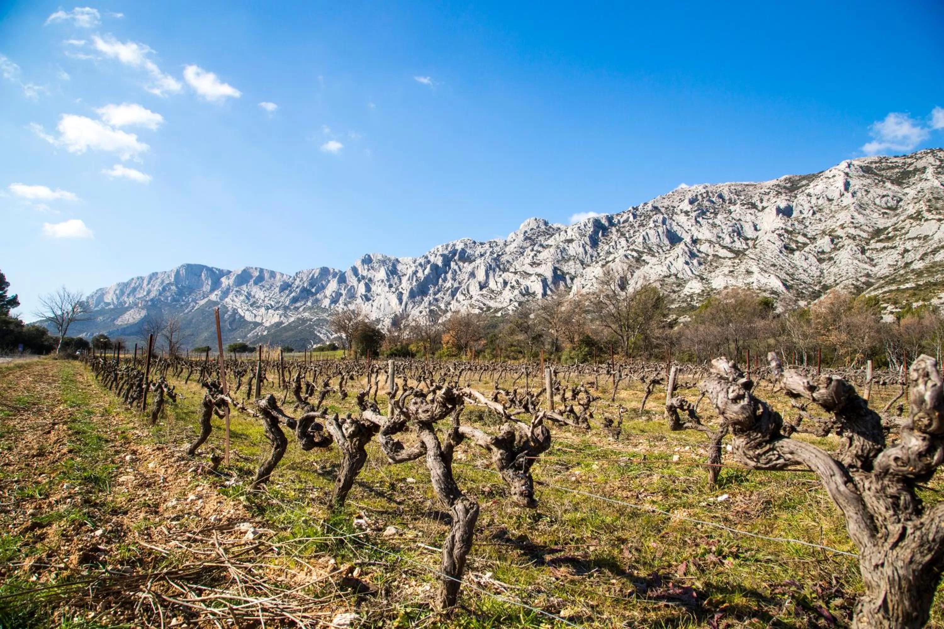 Natural landscape in Campanile Prime - Aix-en-Provence Sud - Pont de l'Arc