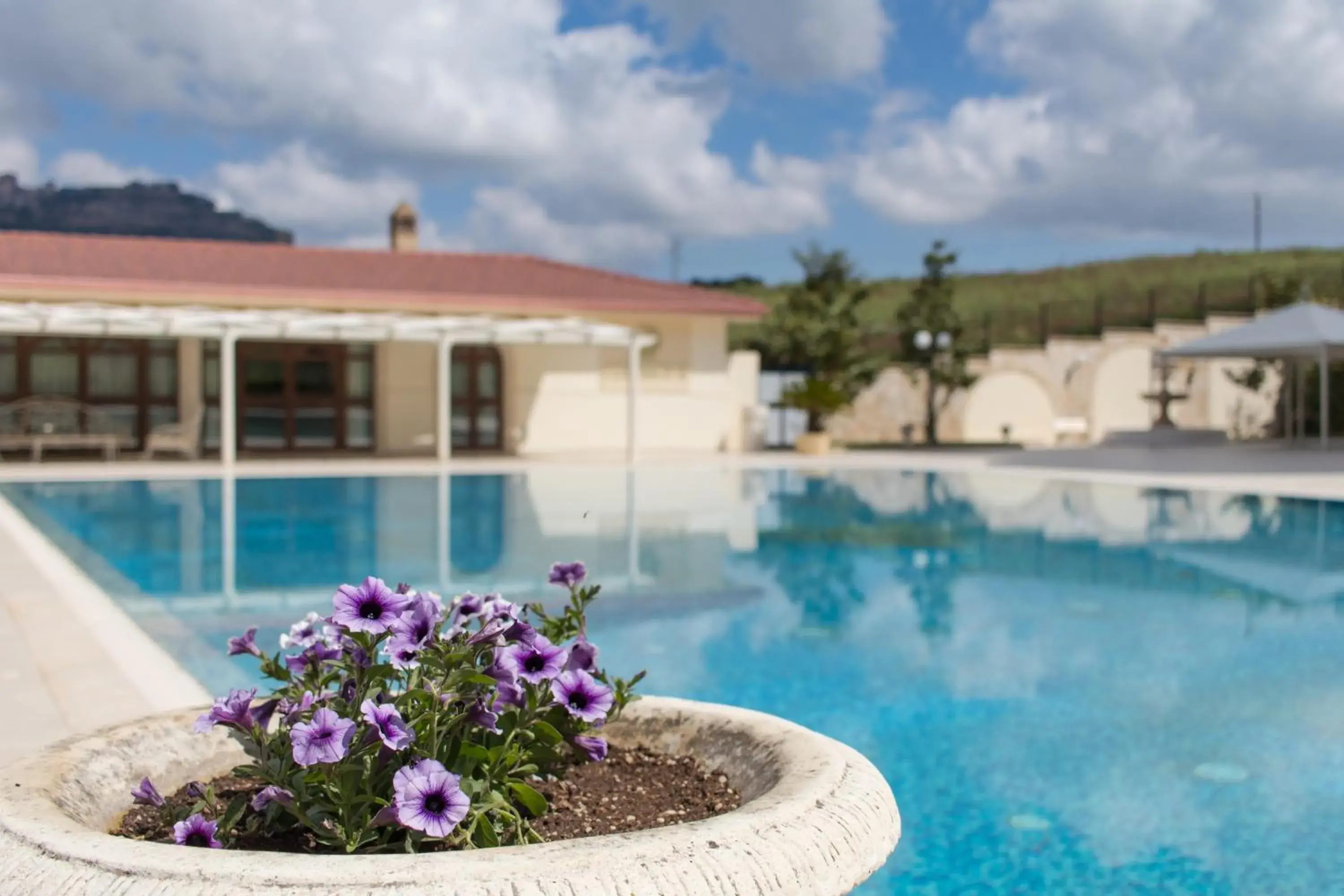 Swimming Pool in Hotel Federico II