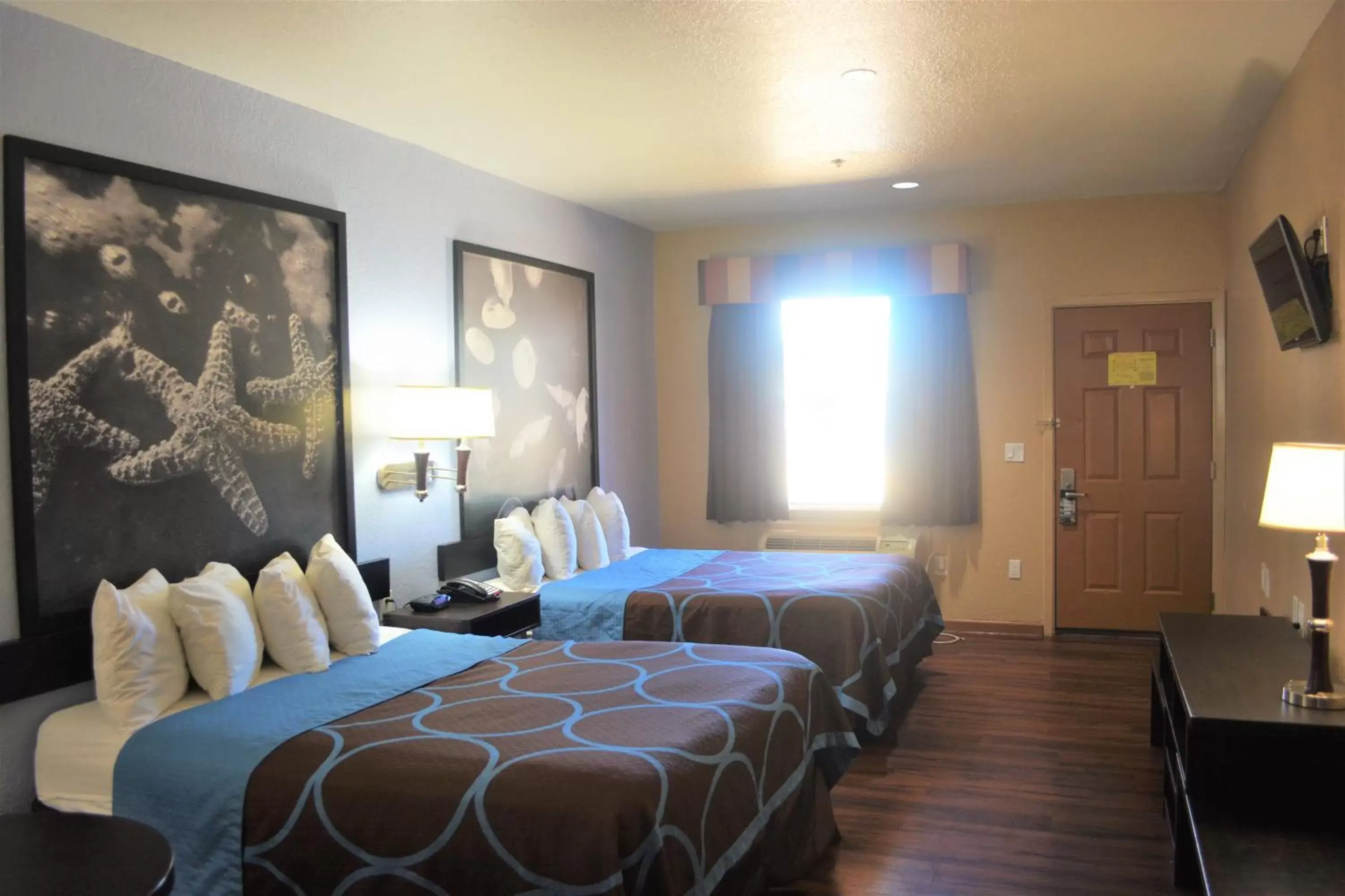 Bed in Super 8 by Wyndham Galveston