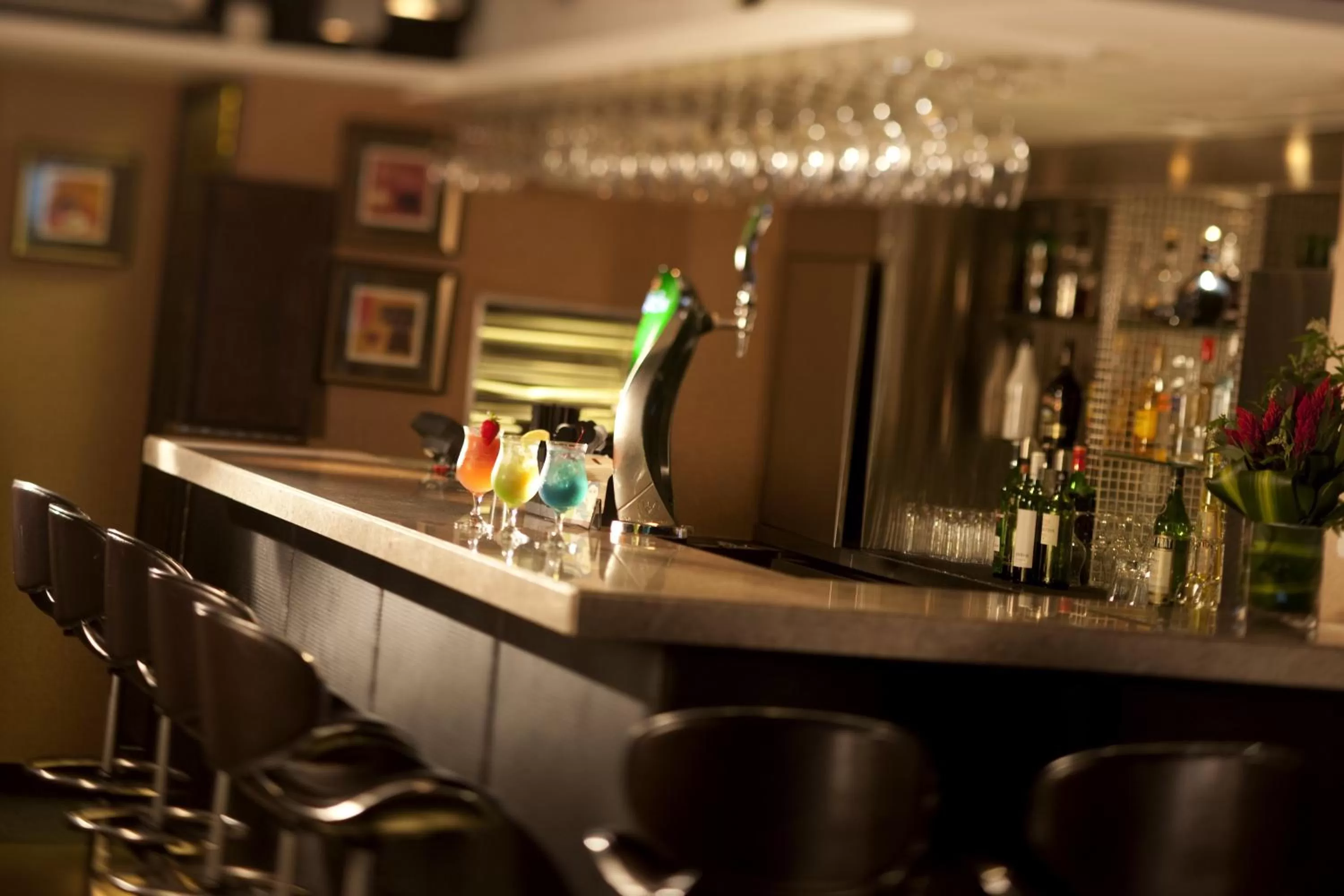 Alcoholic drinks in Xi Hotel