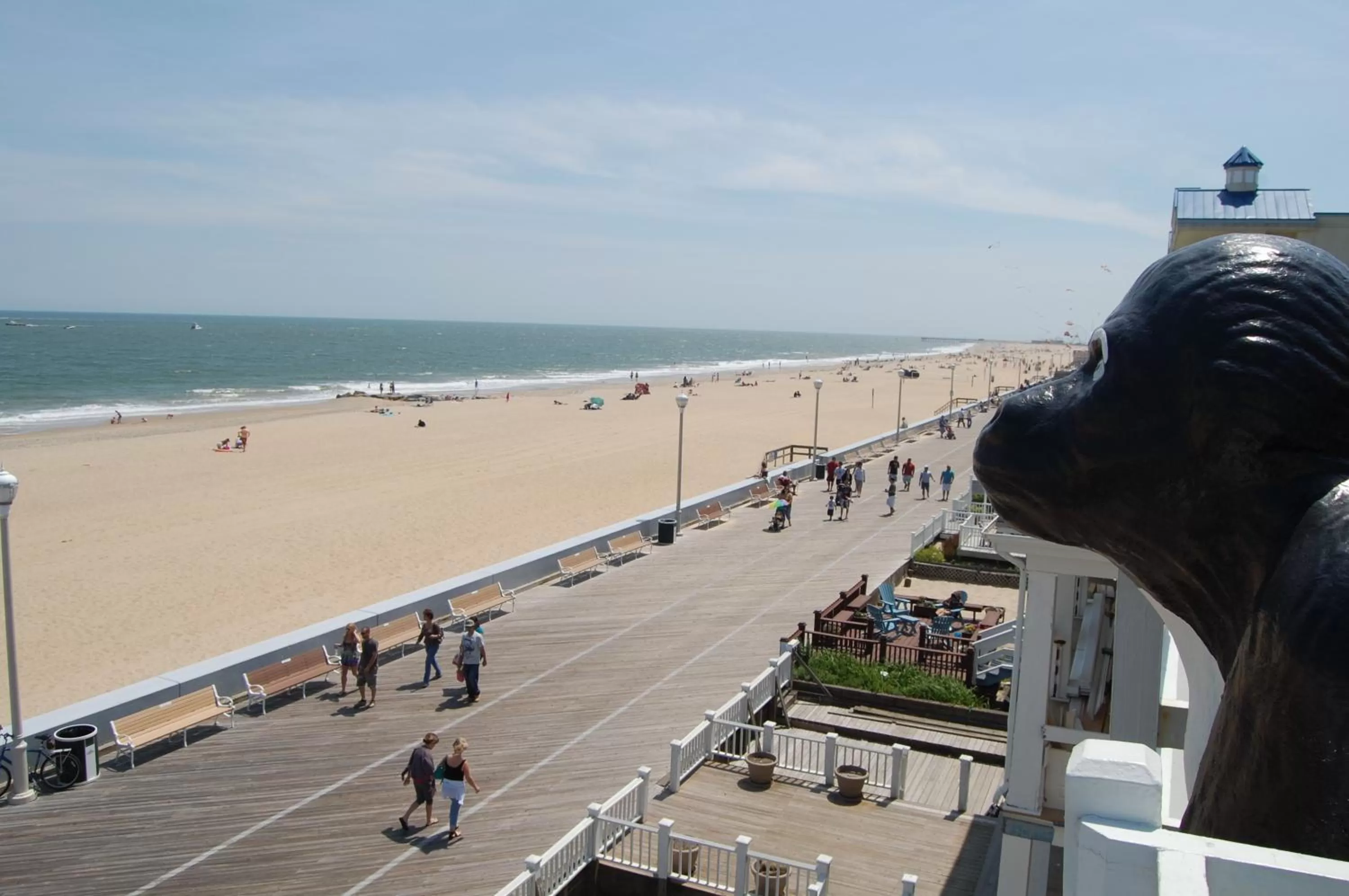 View (from property/room) in Safari Hotel Boardwalk