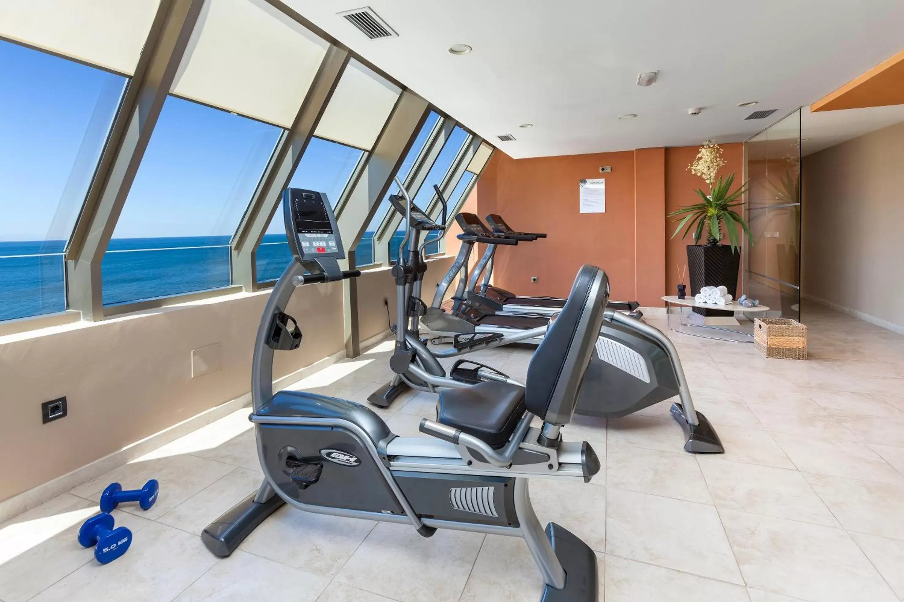 Fitness centre/facilities, Fitness Center/Facilities in Sol Costa Atlantis Tenerife