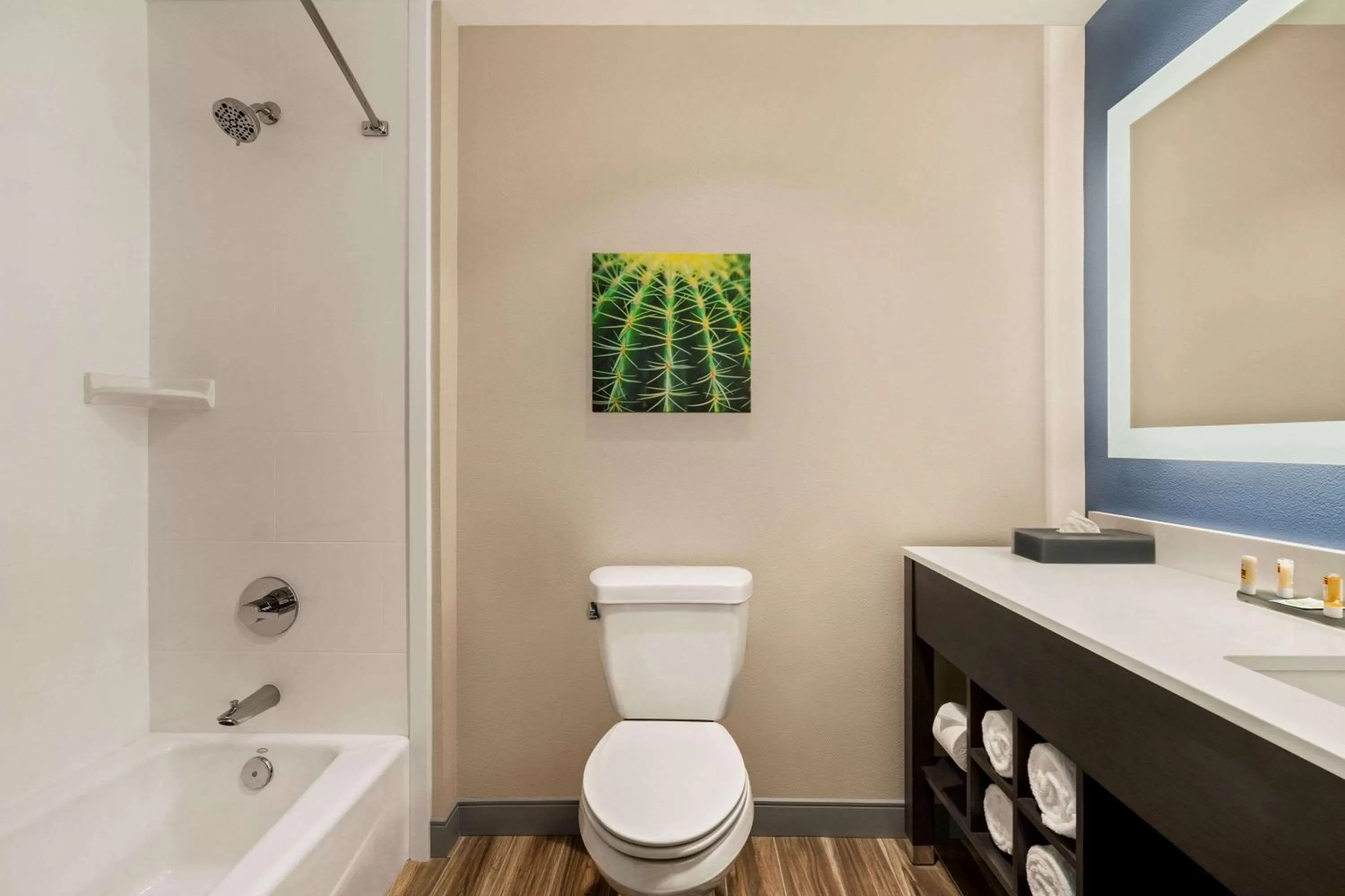 Bathroom in La Quinta Inn & Suites by Wyndham San Bernardino