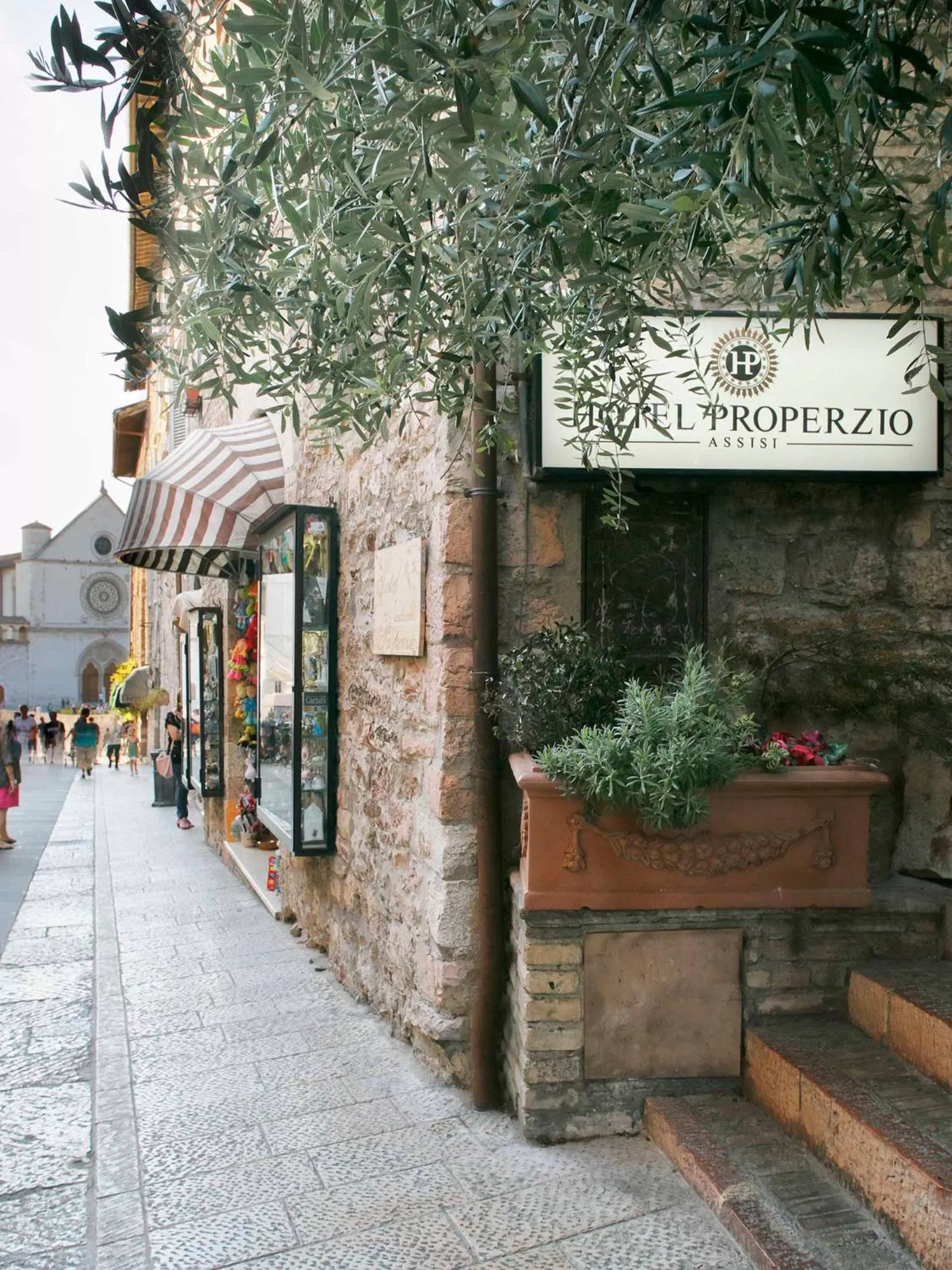 View (from property/room) in Hotel Properzio