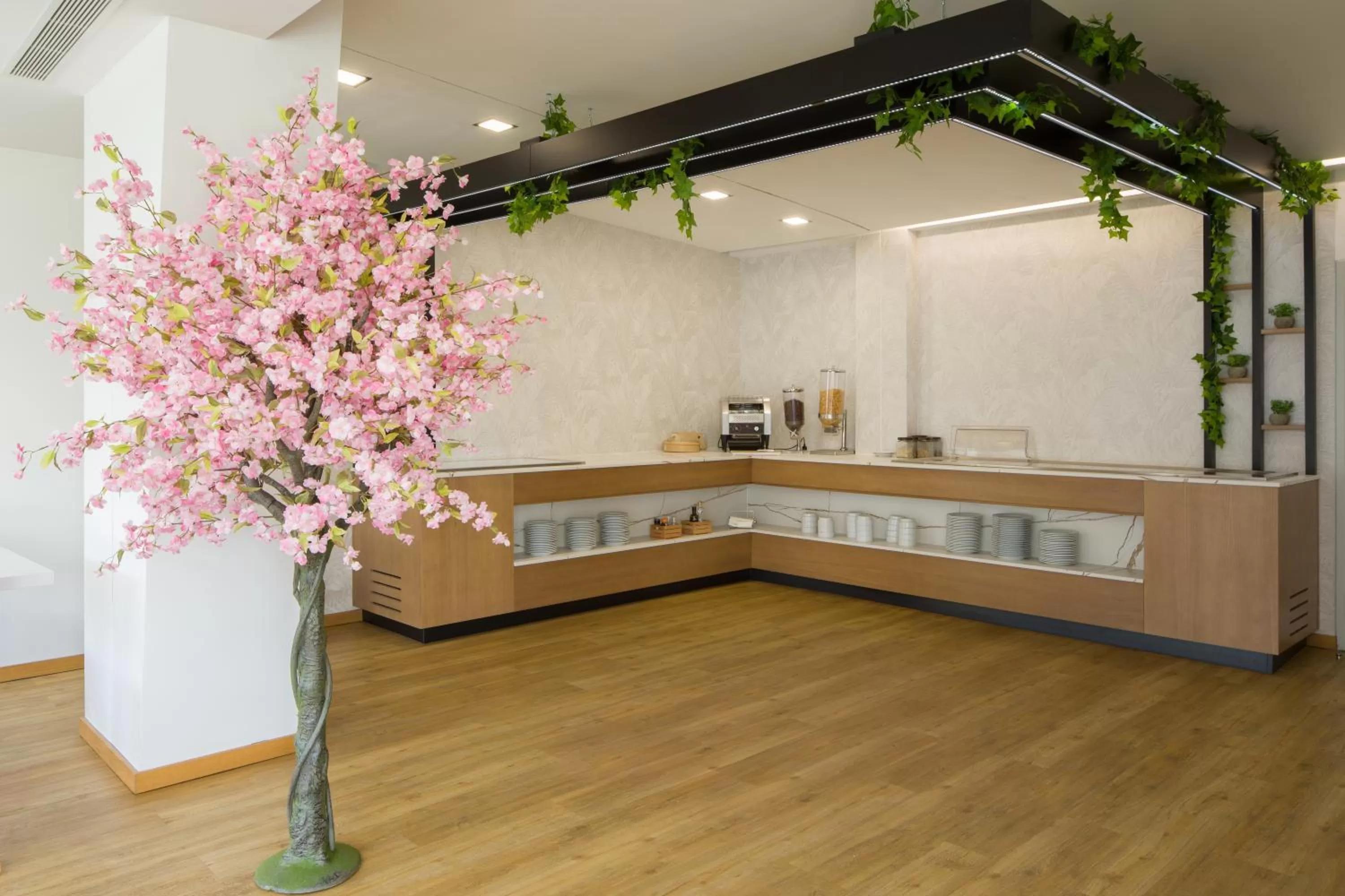 Restaurant/places to eat in Hotel Lara